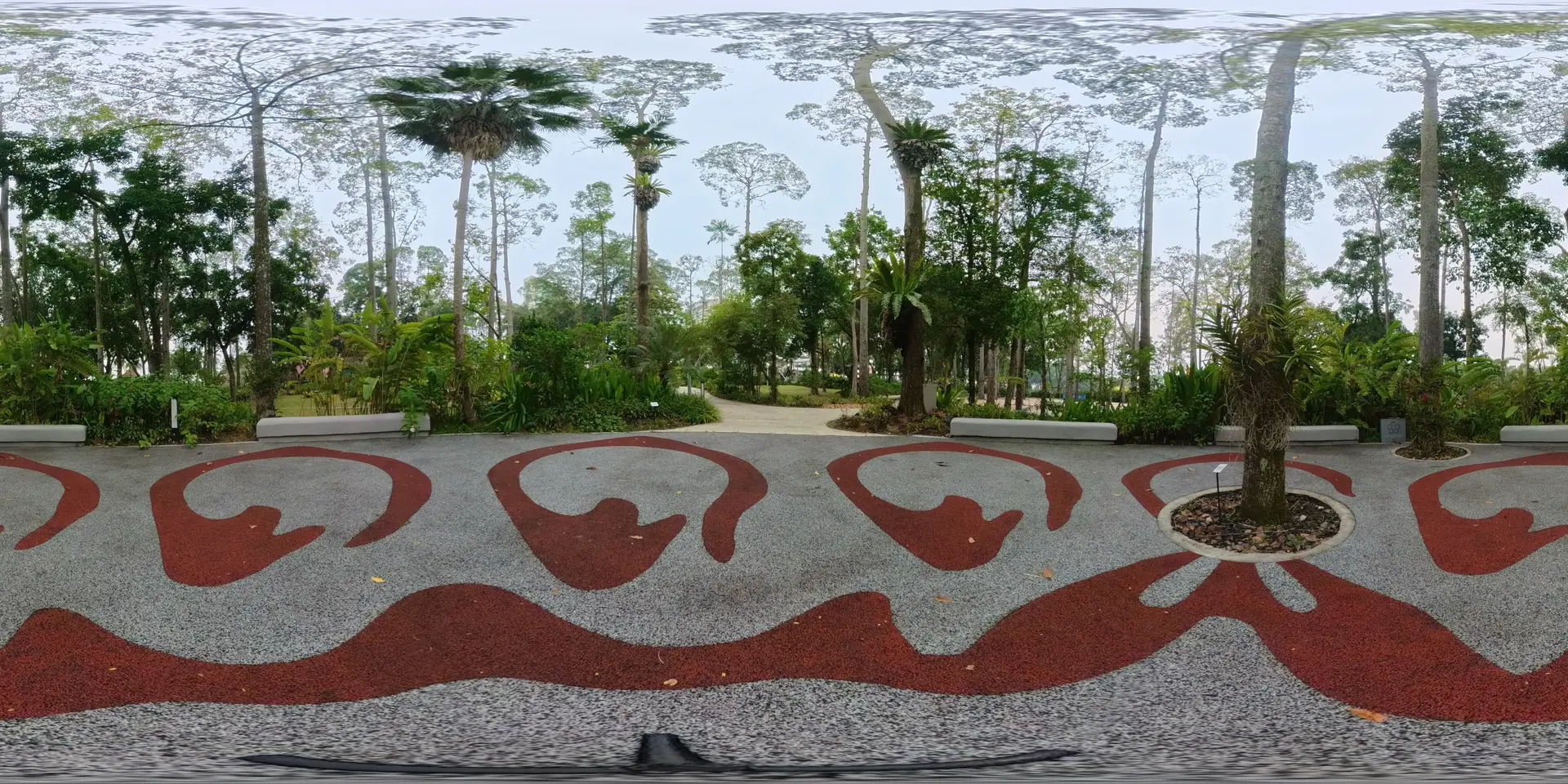 Shaded Garden Walkway