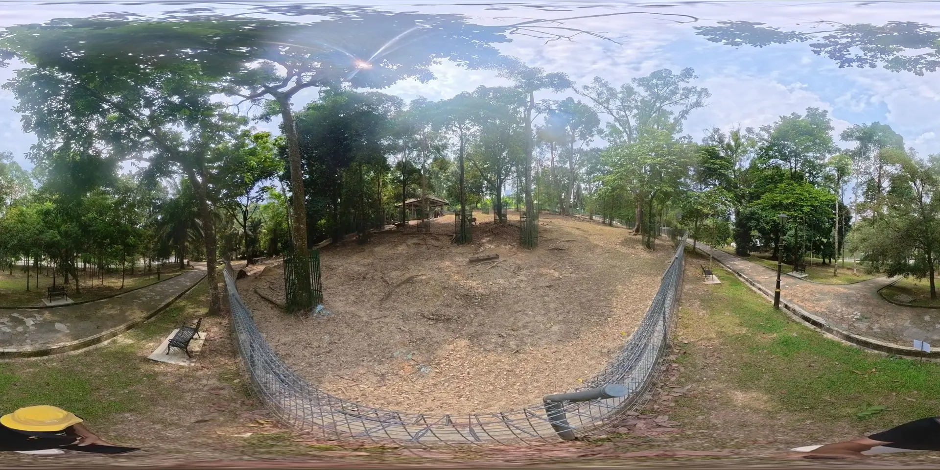 The cage