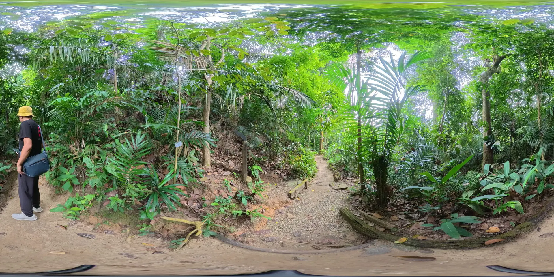 360 scene 6
