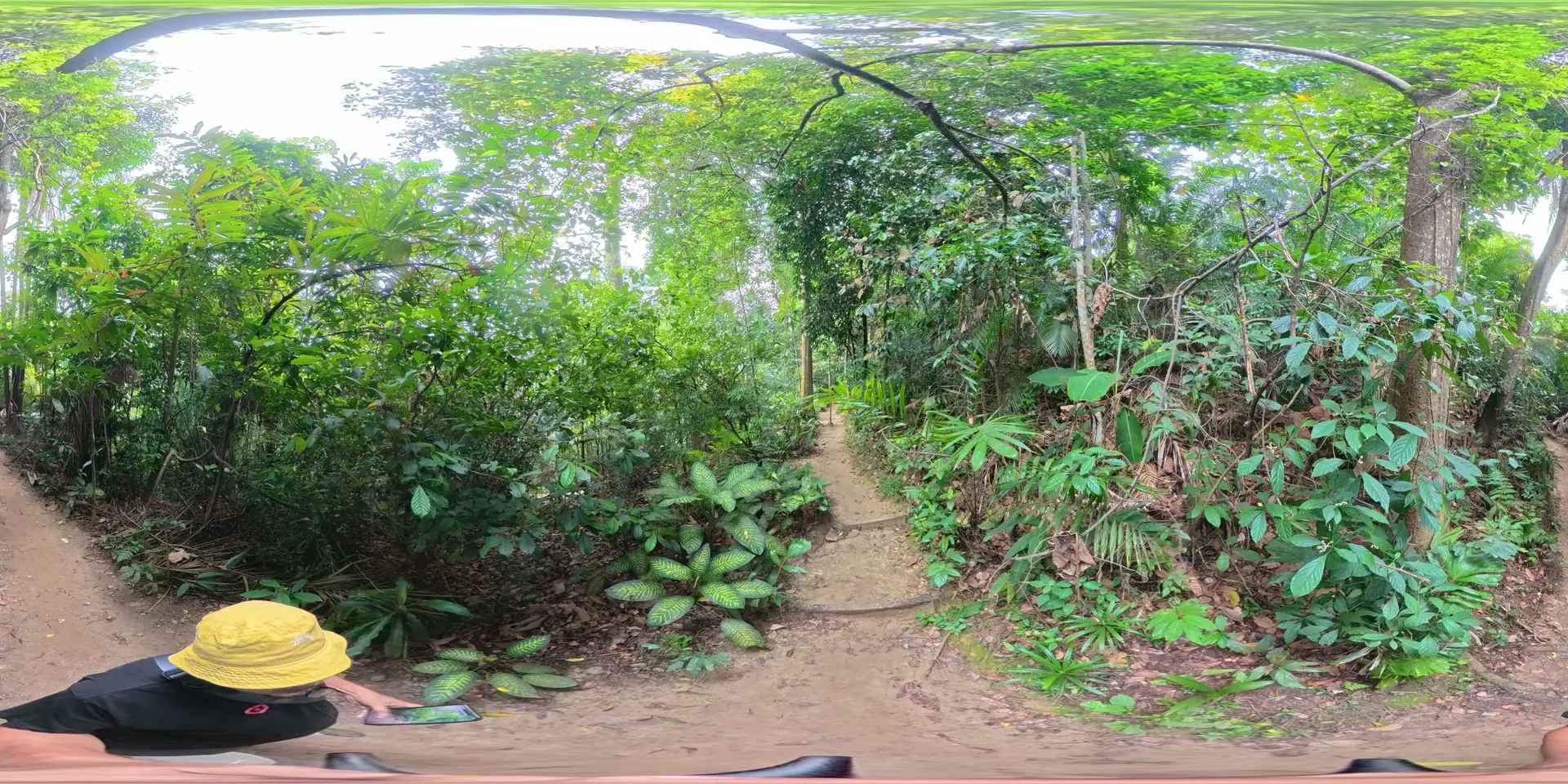 360 scene 7