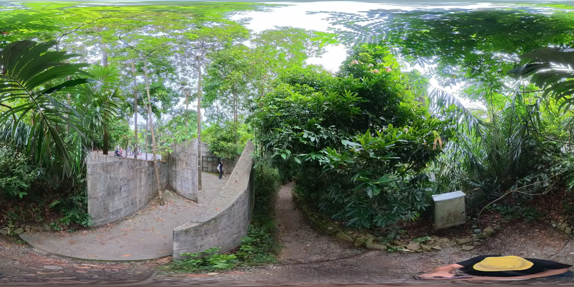 360 scene 4
