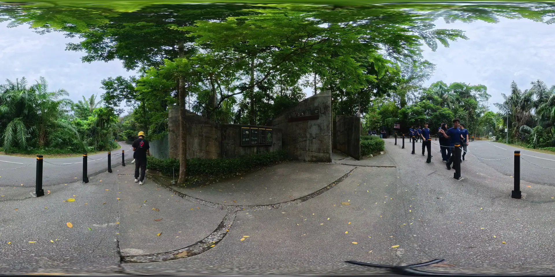 360 scene 5