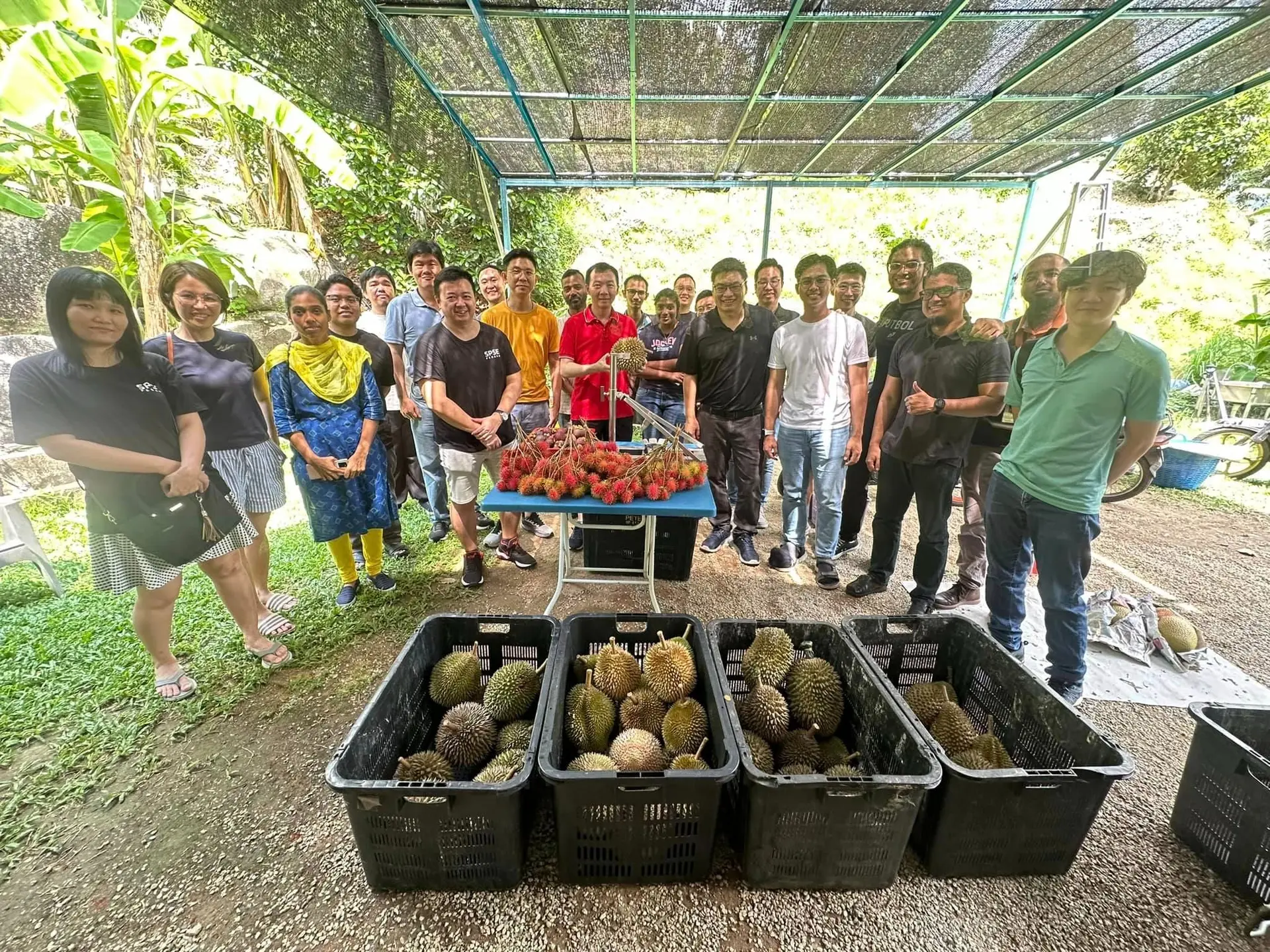 406浮罗山背果园 406 Dusun Durian Balik Pulau  - Campsite in Penang