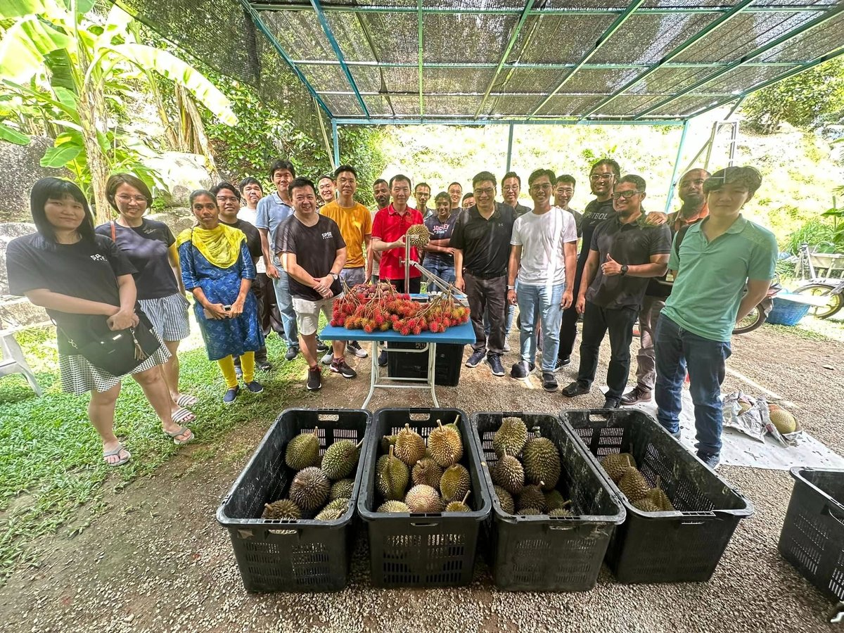 406浮罗山背果园 406 Dusun Durian Balik Pulau - Penang, Pulau Pinang | Loka