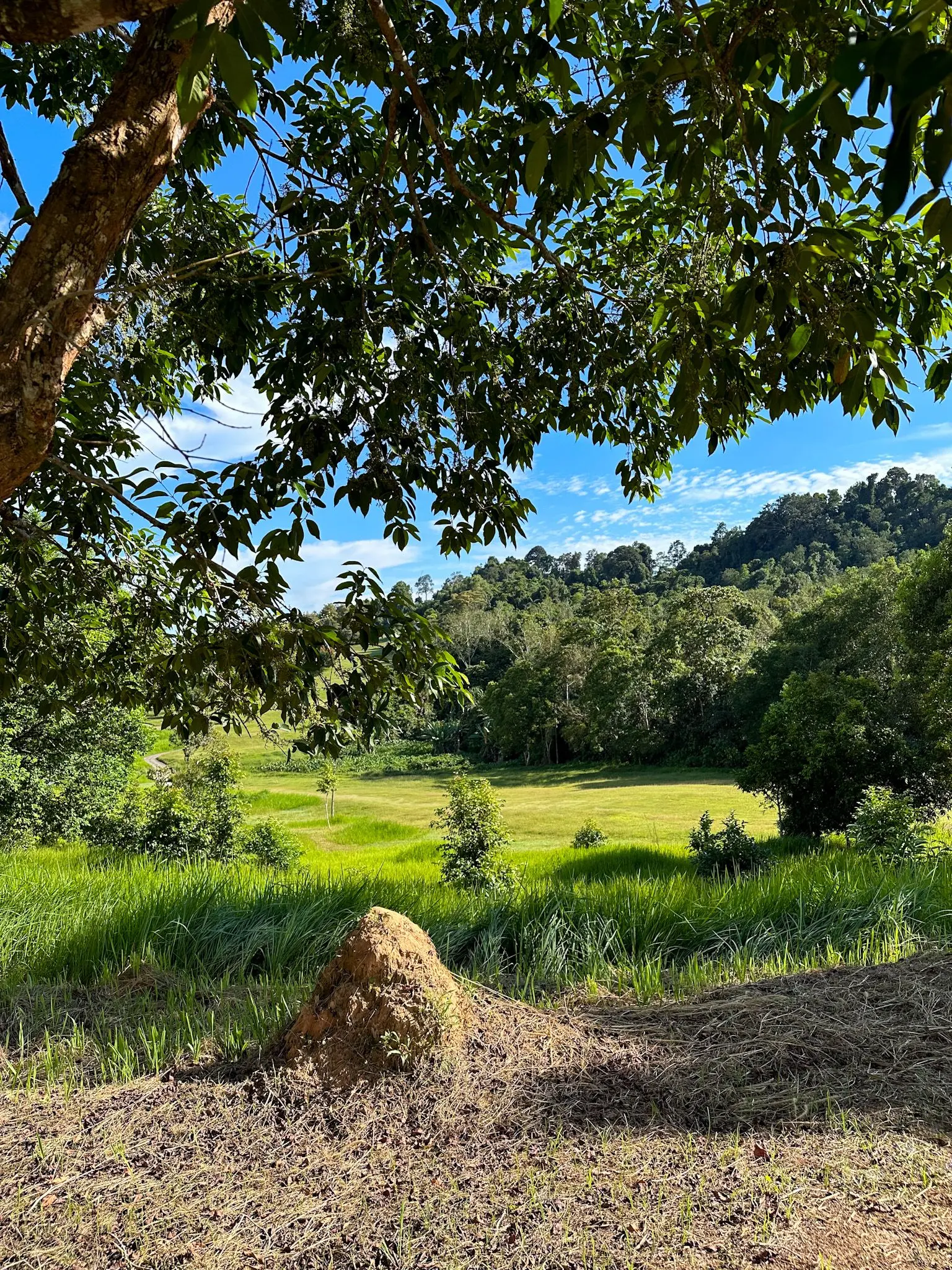 99 east Golf Club Langkawi - Outdoor Activity in Langkawi