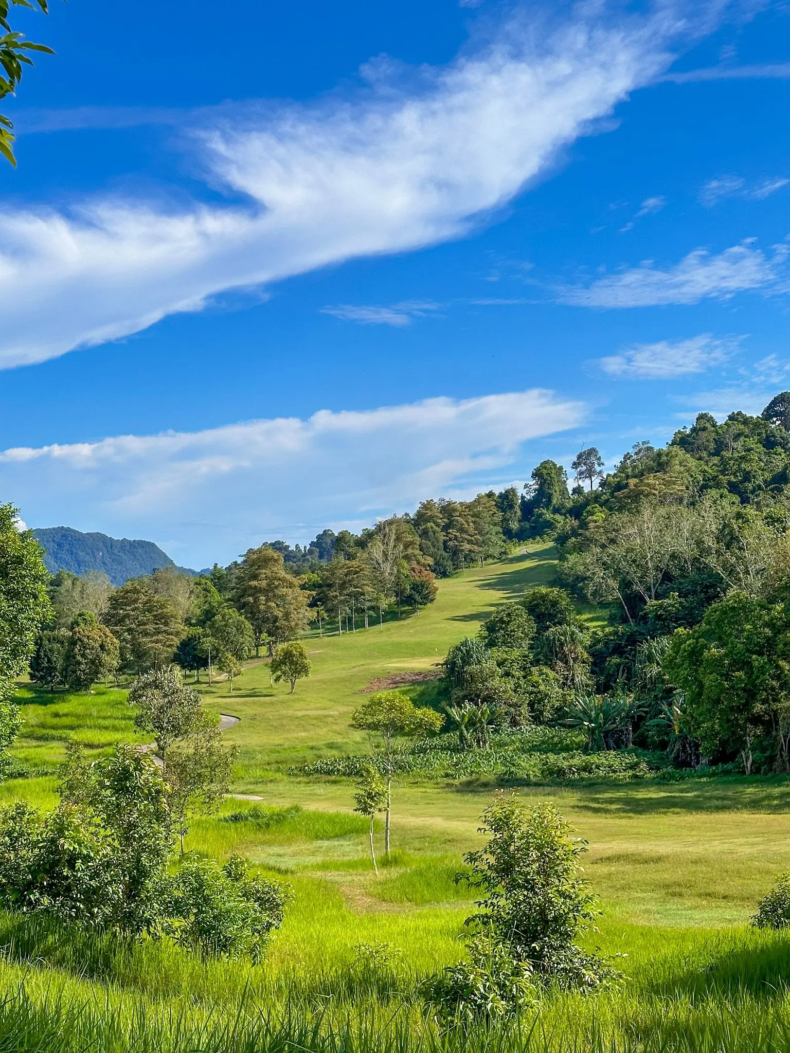 99 east Golf Club Langkawi - Outdoor Activity in Langkawi