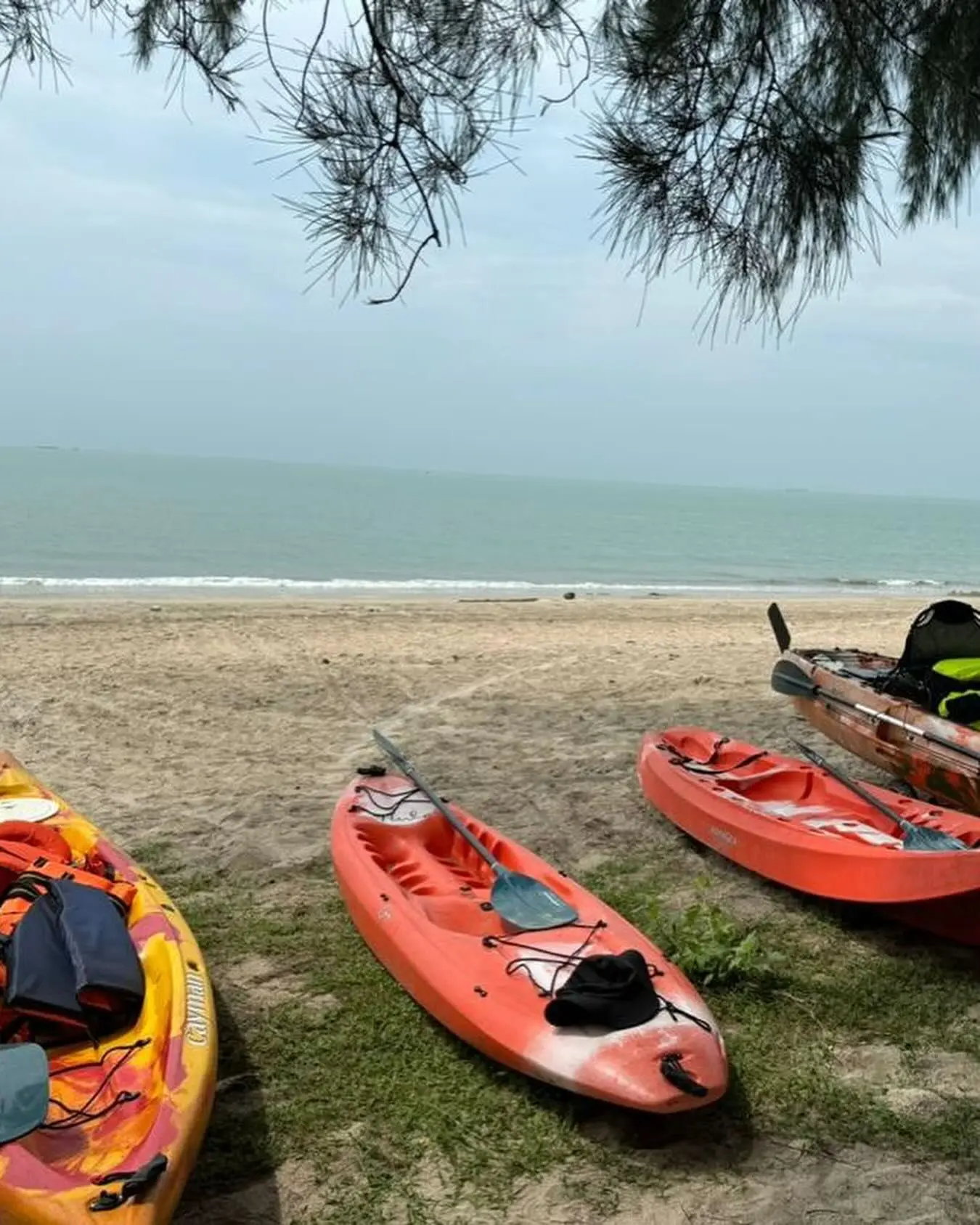 Aliyya Beachfront Campite - Campsite in Pengerang