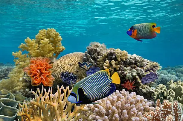 Aquaria KLCC