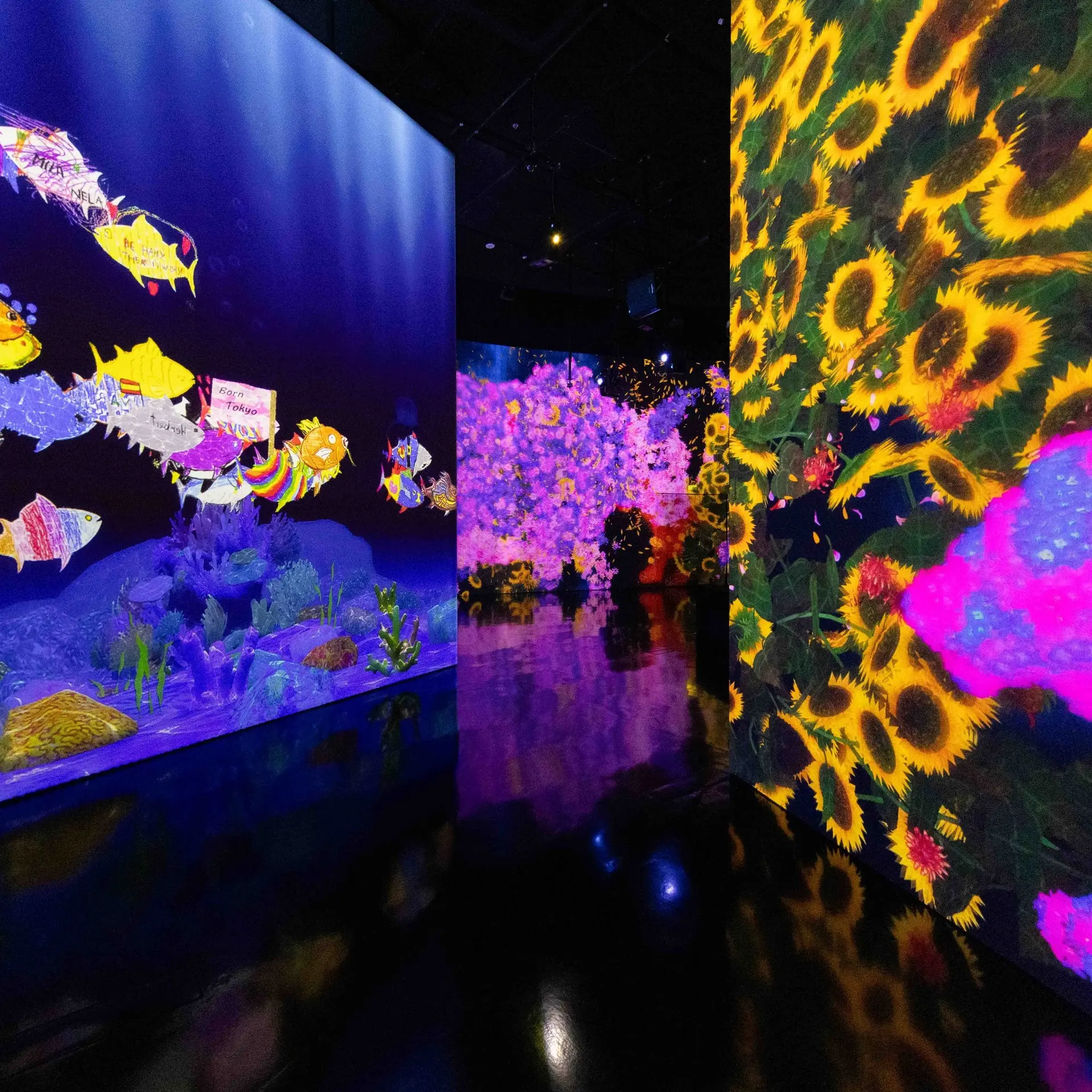ArtScience Museum - Museum in Singapore