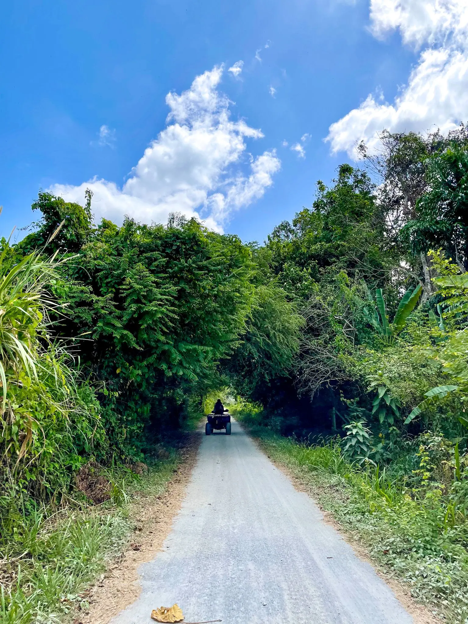 ATV (Ulu Melaka) - Outdoor Activity in Langkawi