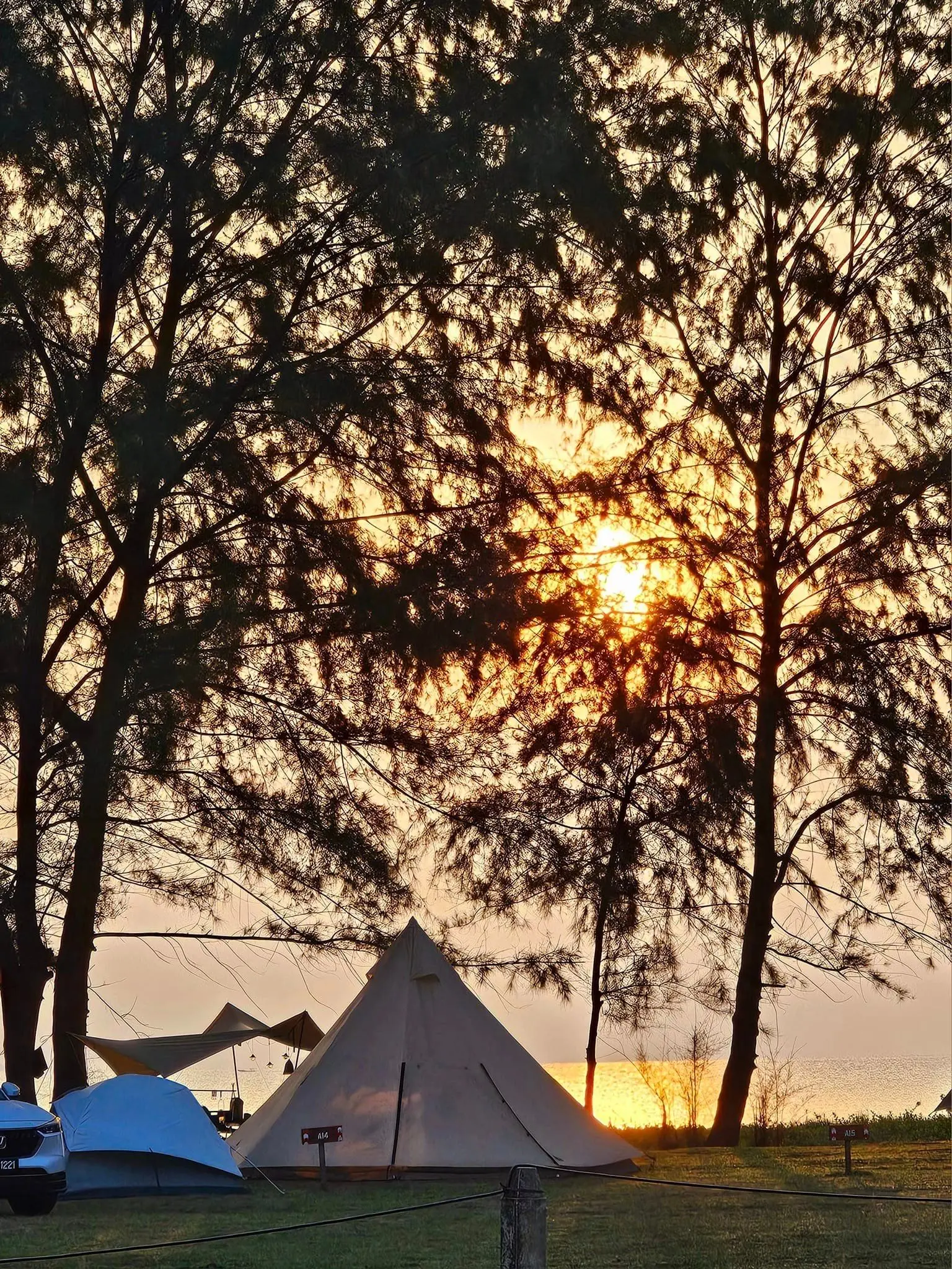 Back To Nature Camp - Campsite in Mersing