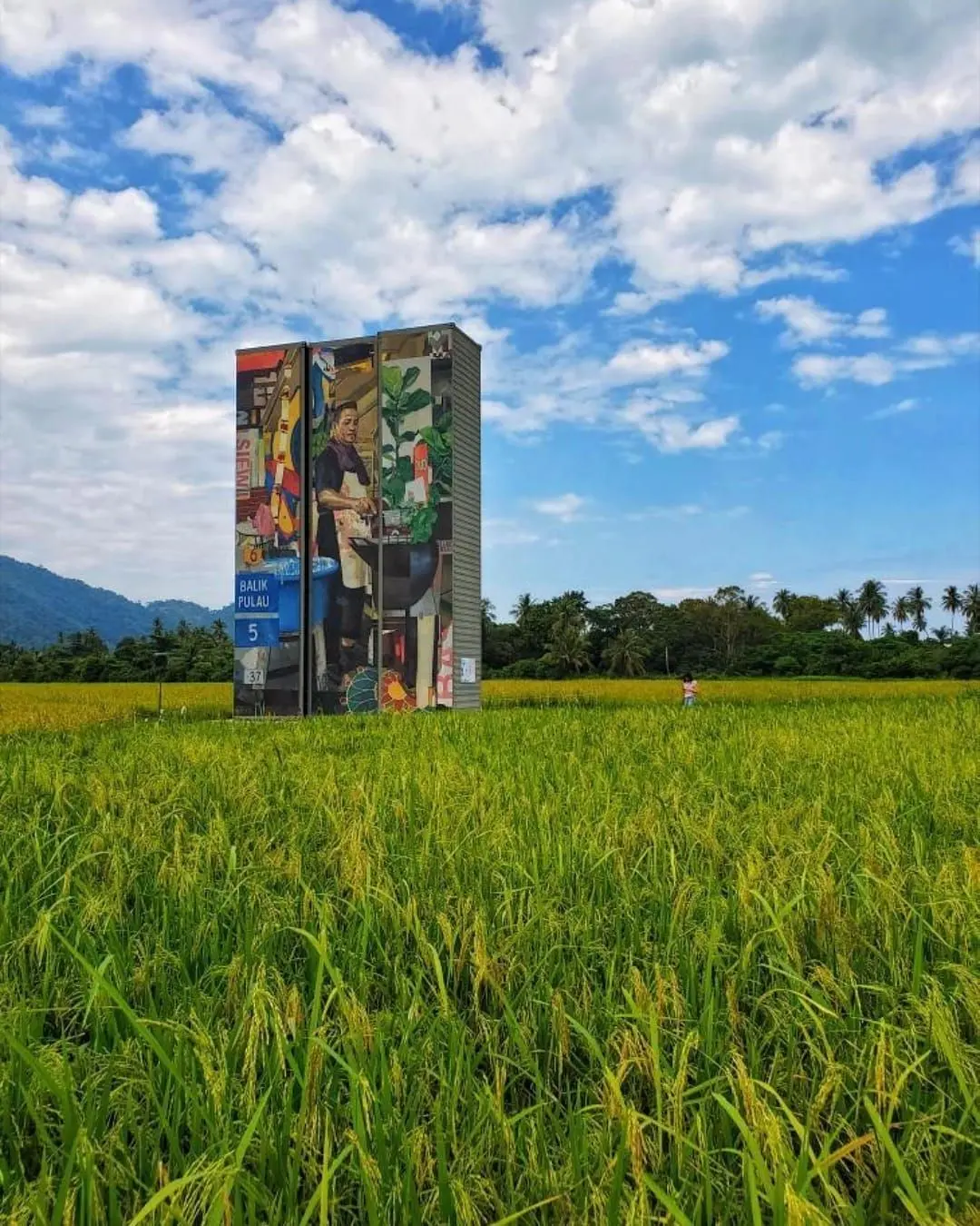 Balik Pulau Paddy Field - Nature & Park in Penang