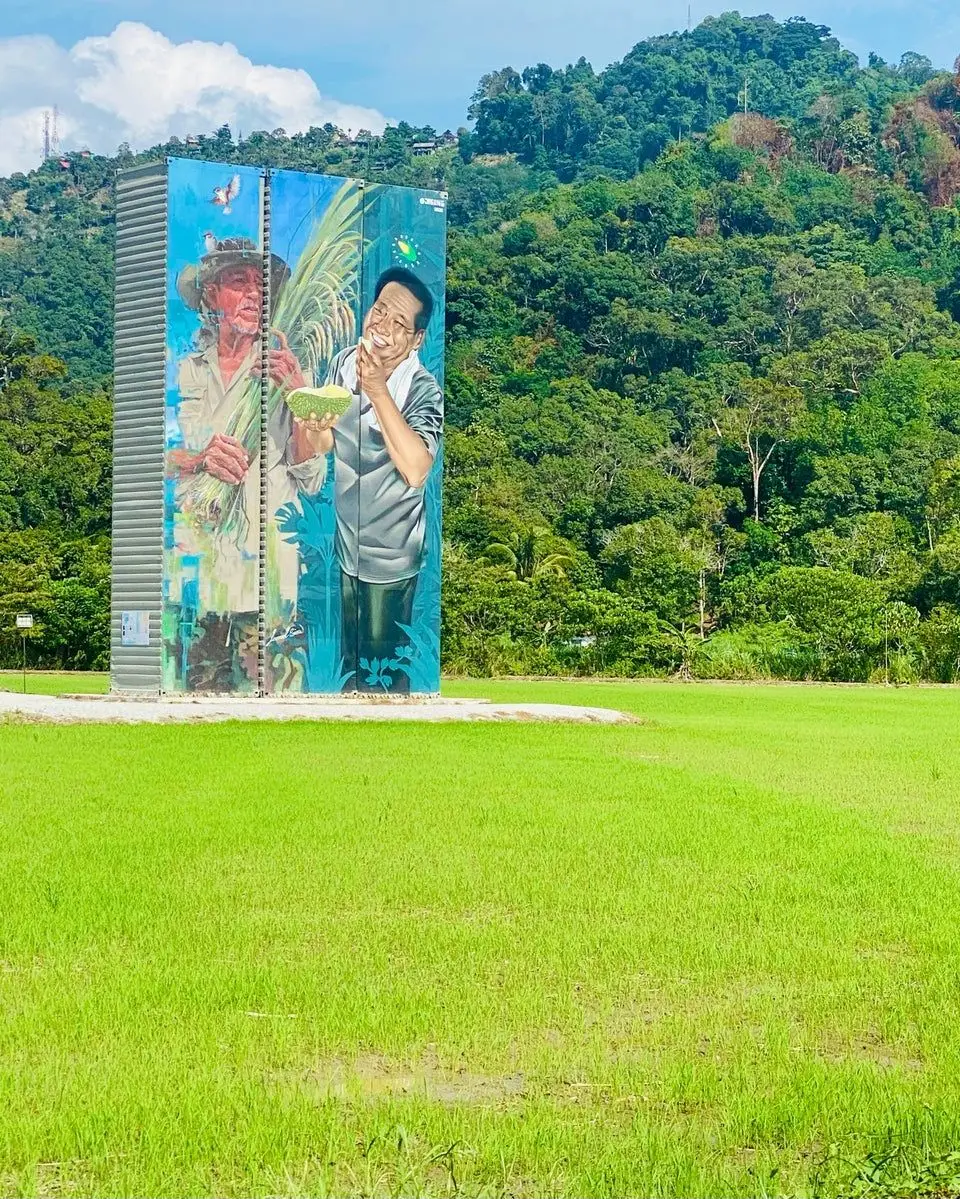 Balik Pulau Paddy Field