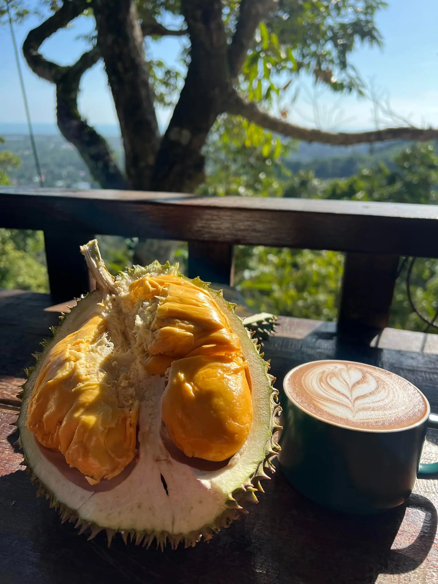 Bao Sheng Durian Farm - Farm in Penang