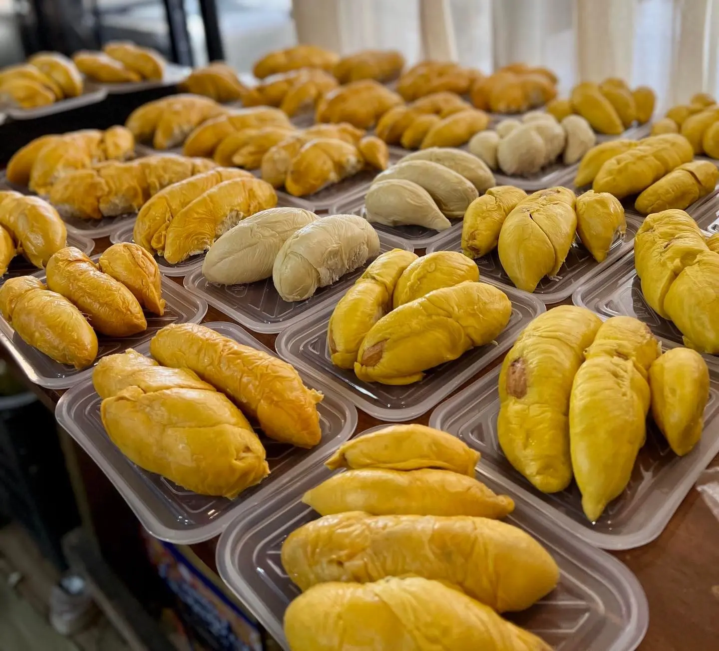 Bao Sheng Durian Farm - Farm in Penang