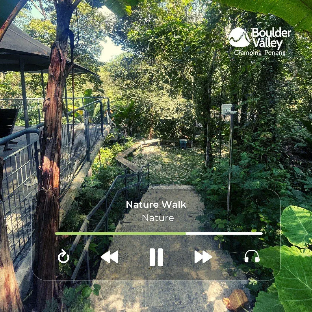 Boulder Valley Glamping - Campsite in Teluk Bahang