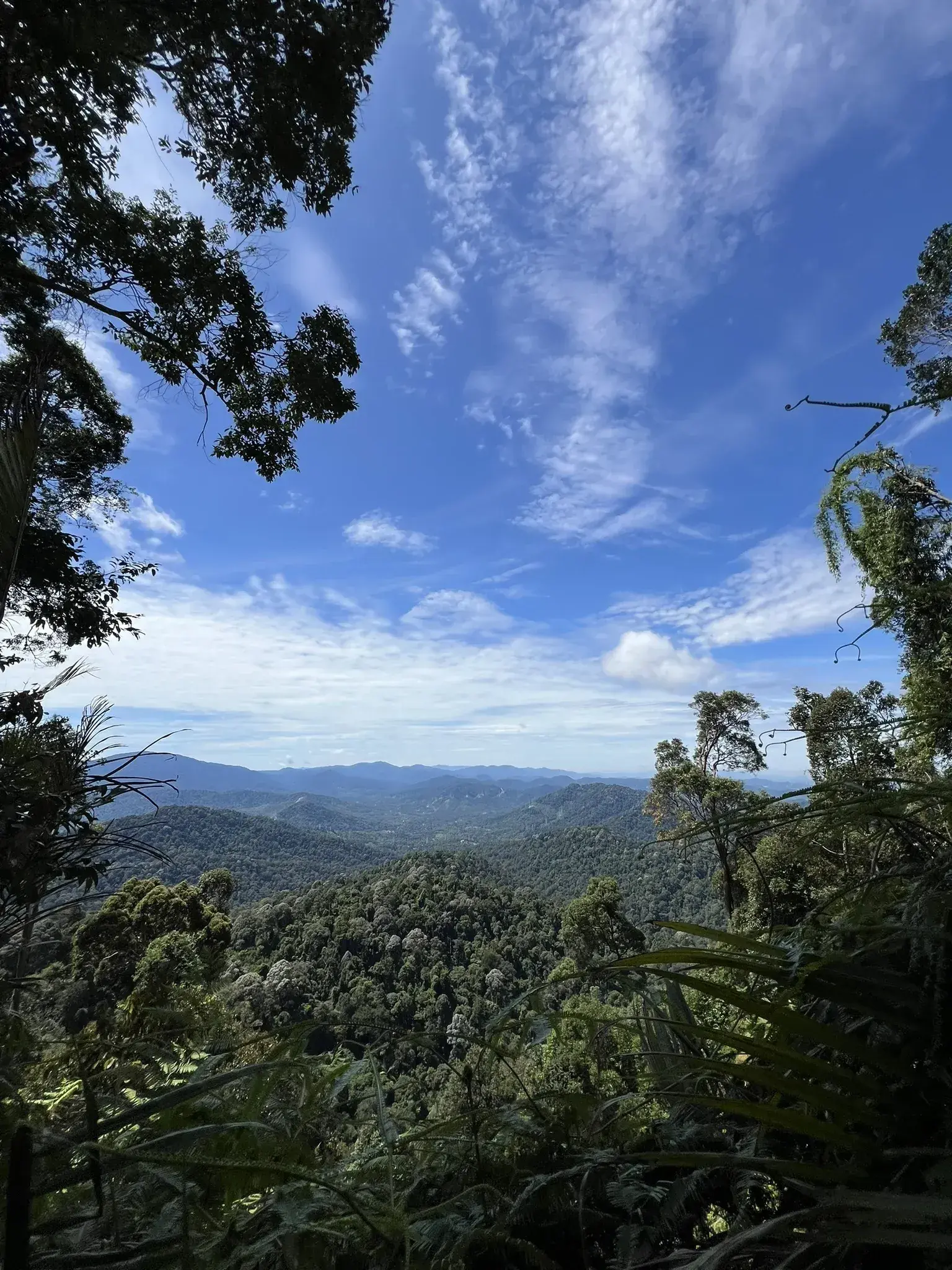 Bukit Chenuang Trailhead - Nature & Park in Hulu Langat