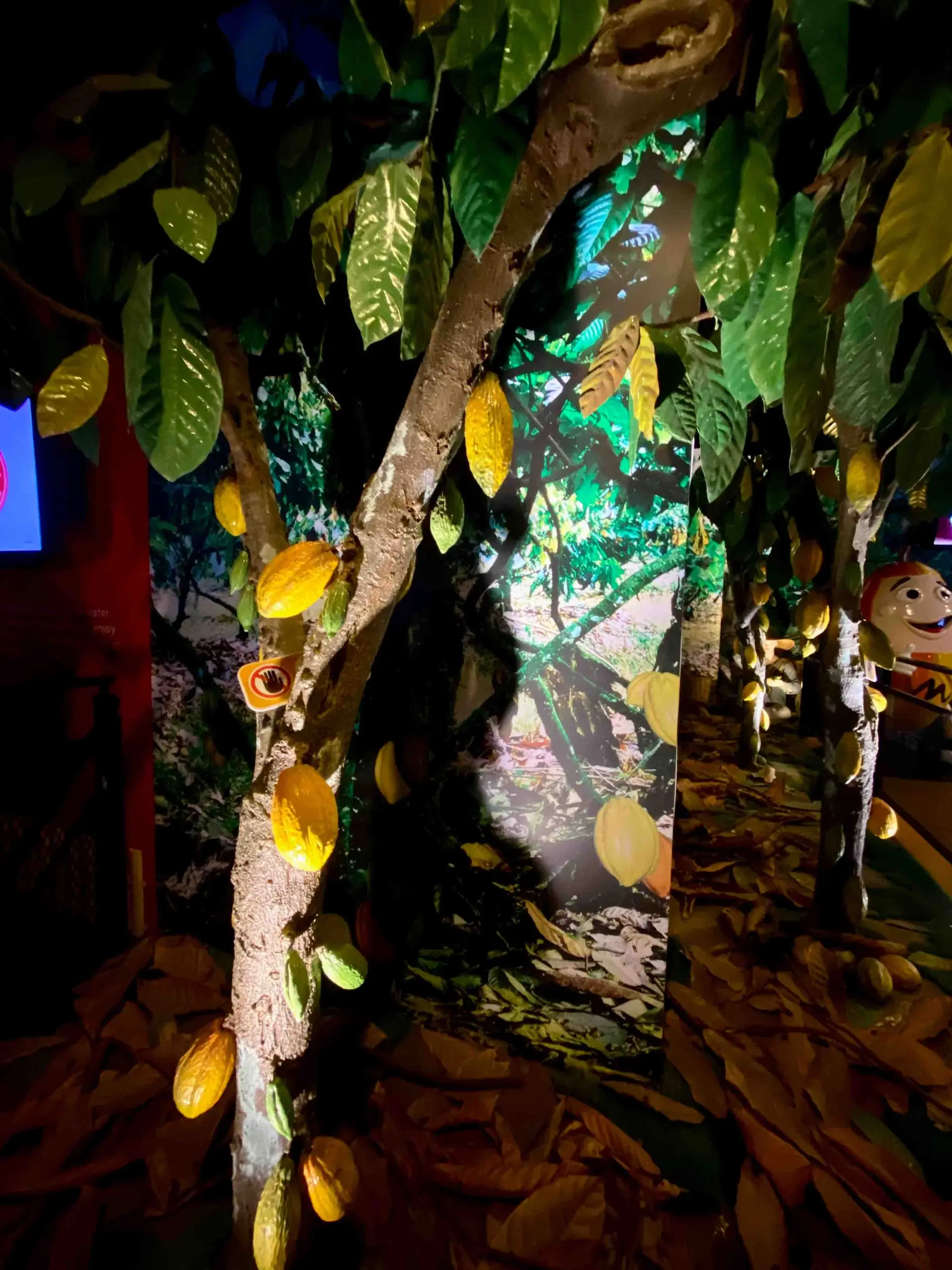 Chocolate Museum - Museum in Petaling Jaya