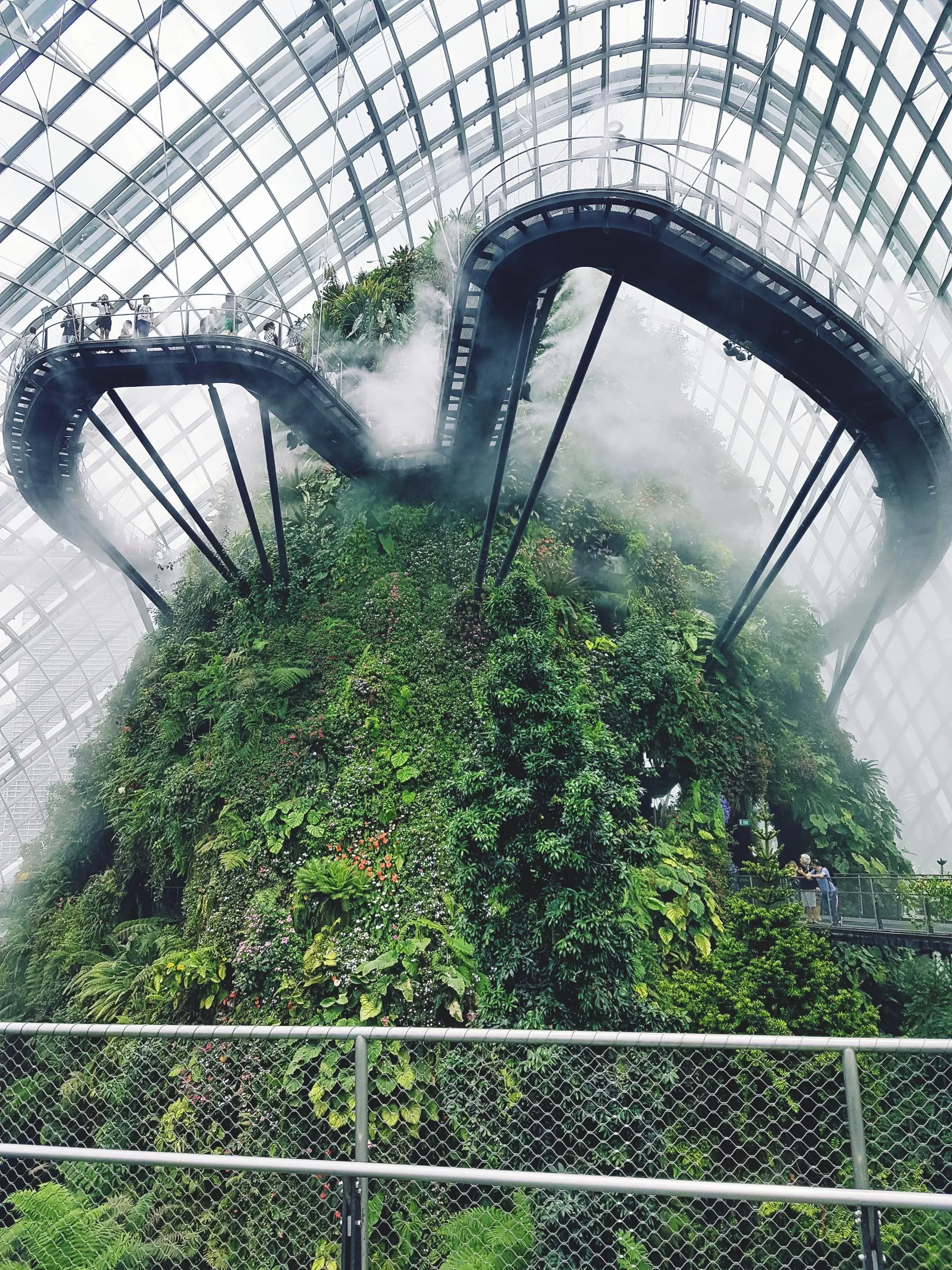 Cloud Forest - Garden & Park in Singapore