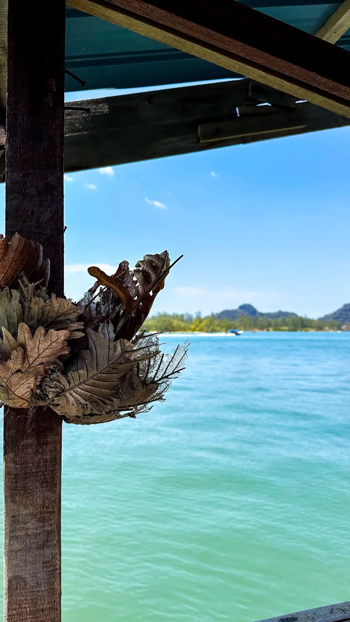 Cococamp - Outdoor Activity in Langkawi