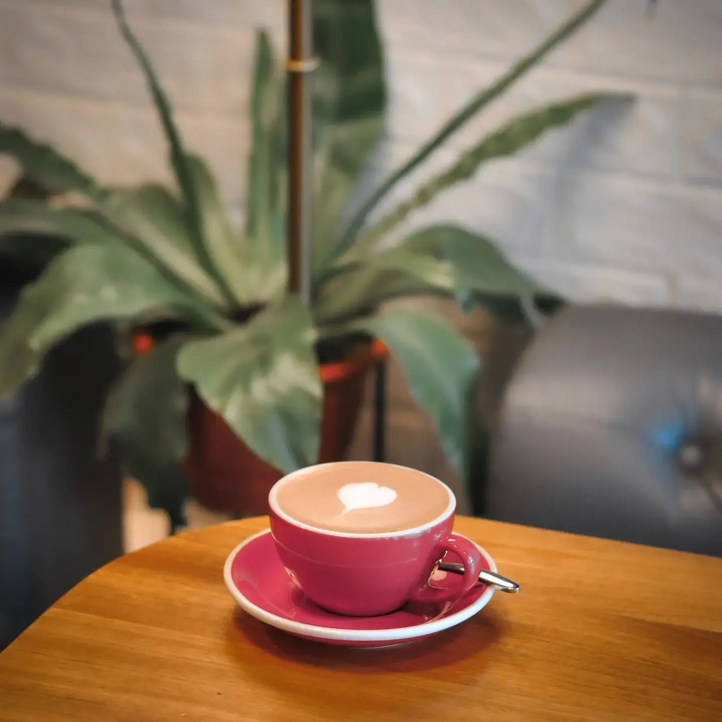 Constant Gardener Coffee photo 3