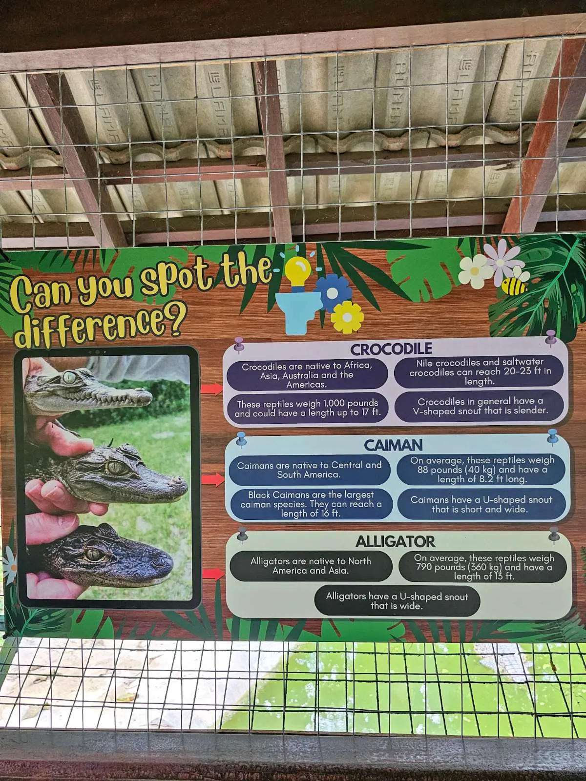 Crocodile Adventureland Langkawi - Zoo & Aquarium in Langkawi
