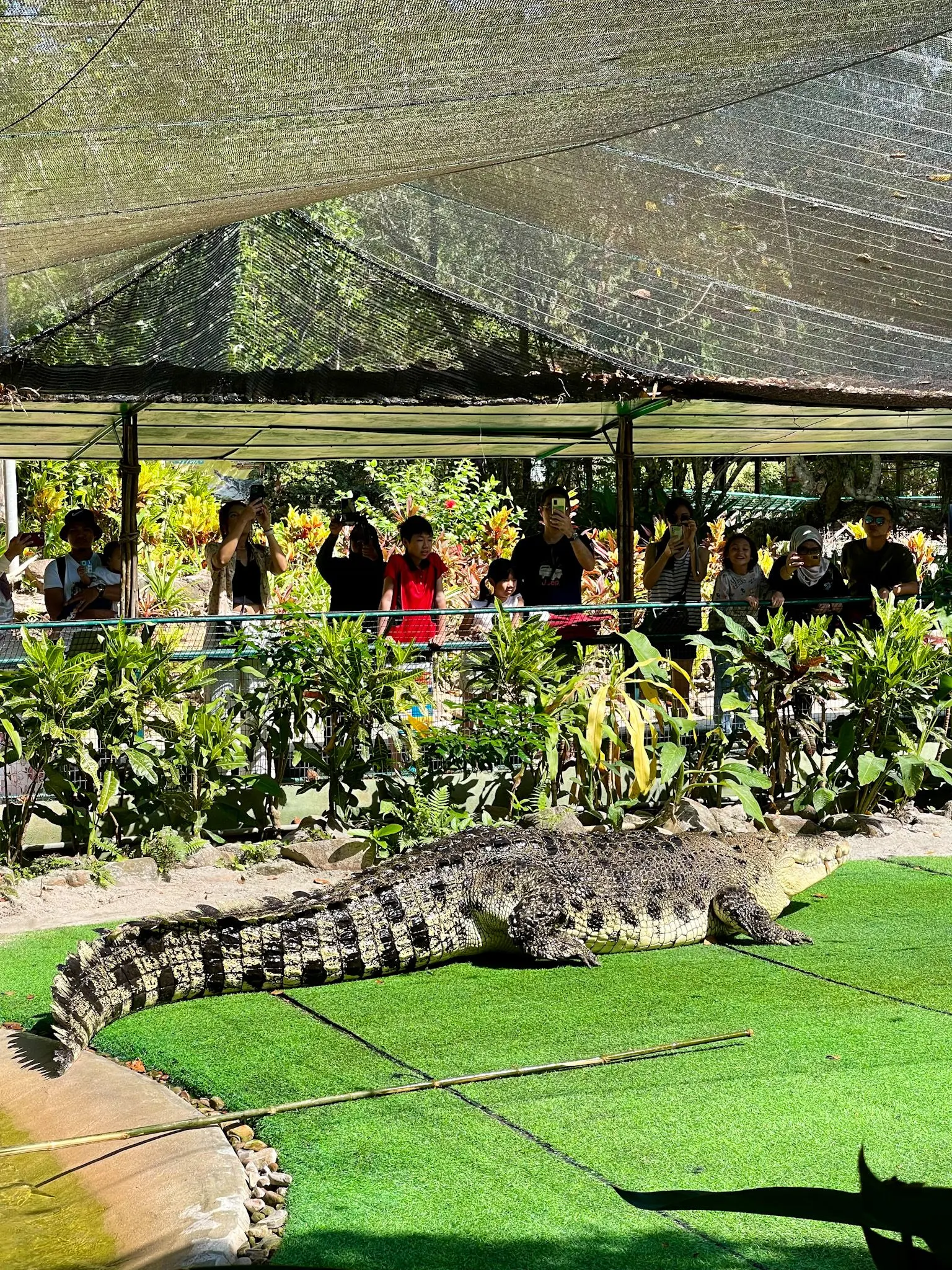 Crocodile Adventureland Langkawi - Zoo & Aquarium in Langkawi