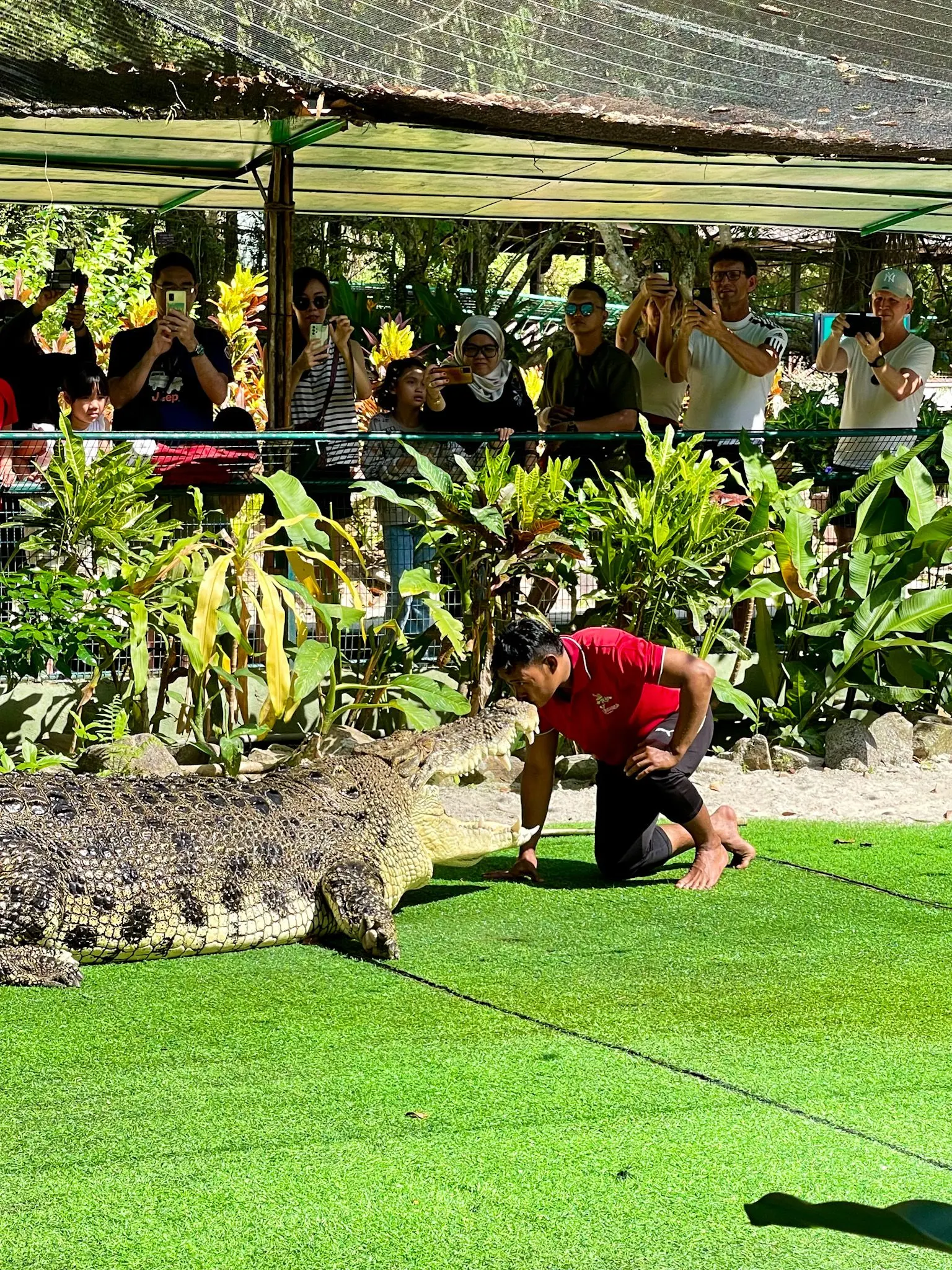 Crocodile Adventureland Langkawi - Zoo & Aquarium in Langkawi