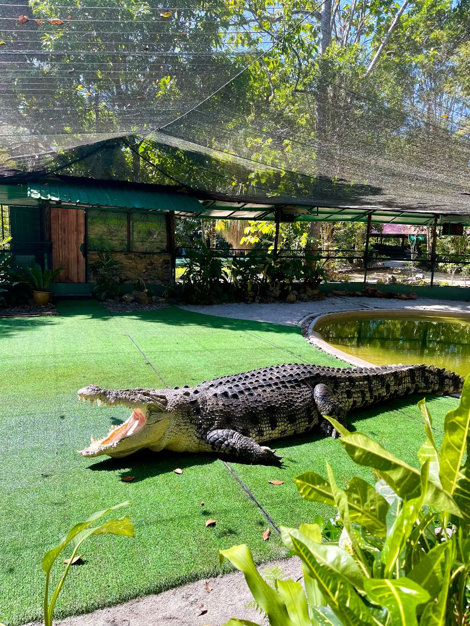 Crocodile Adventureland Langkawi