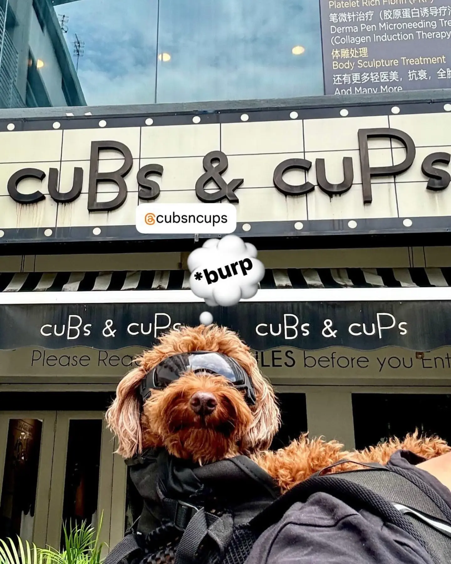 Cubs Cups - Cafe in Kuala Lumpur