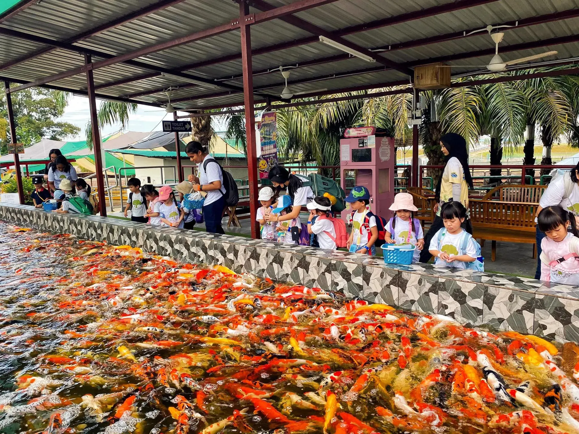 Desaru Mini Zoo - Zoo & Aquarium in Pengerang