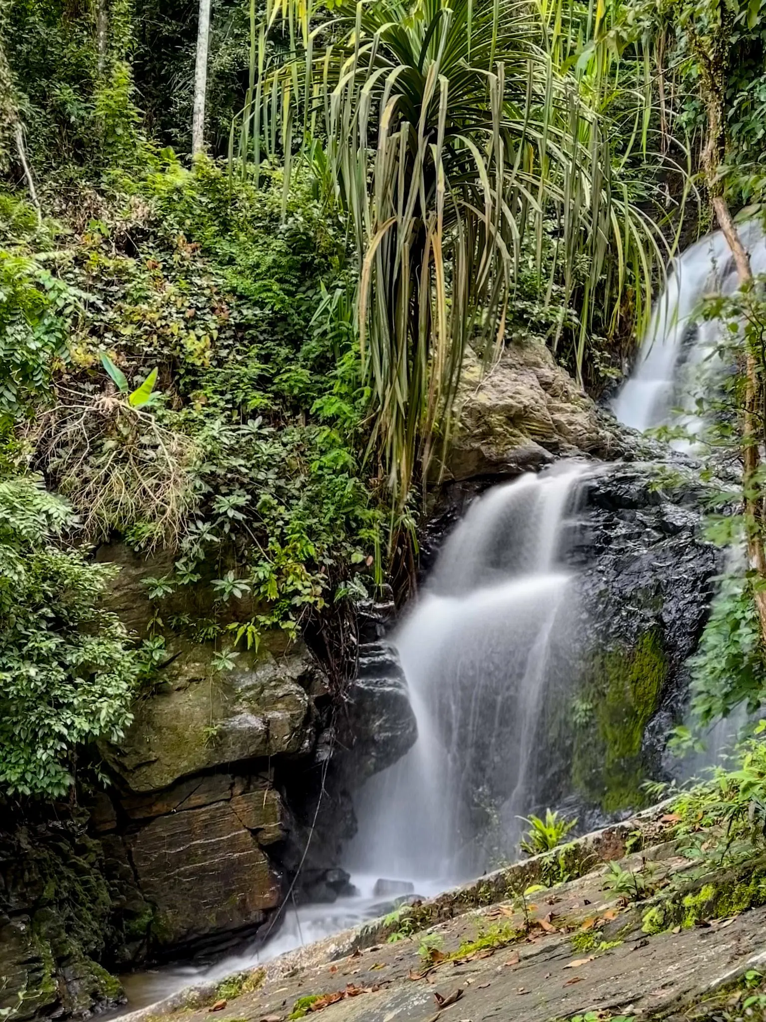 Air Terjun Durian Perangin (Waterfalls) - Nature & Park in Langkawi