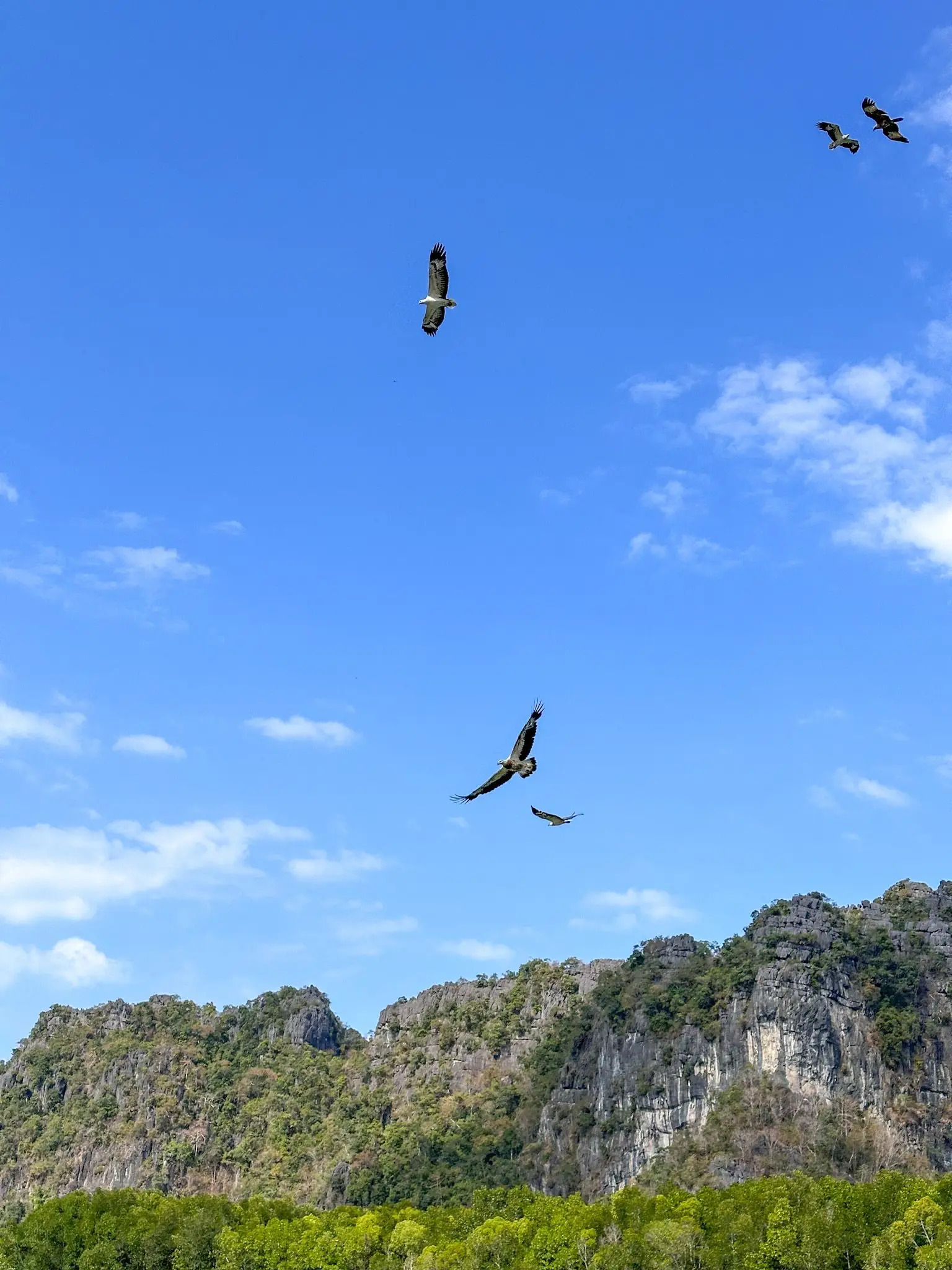 Eagle Watching Point (Kilim)
