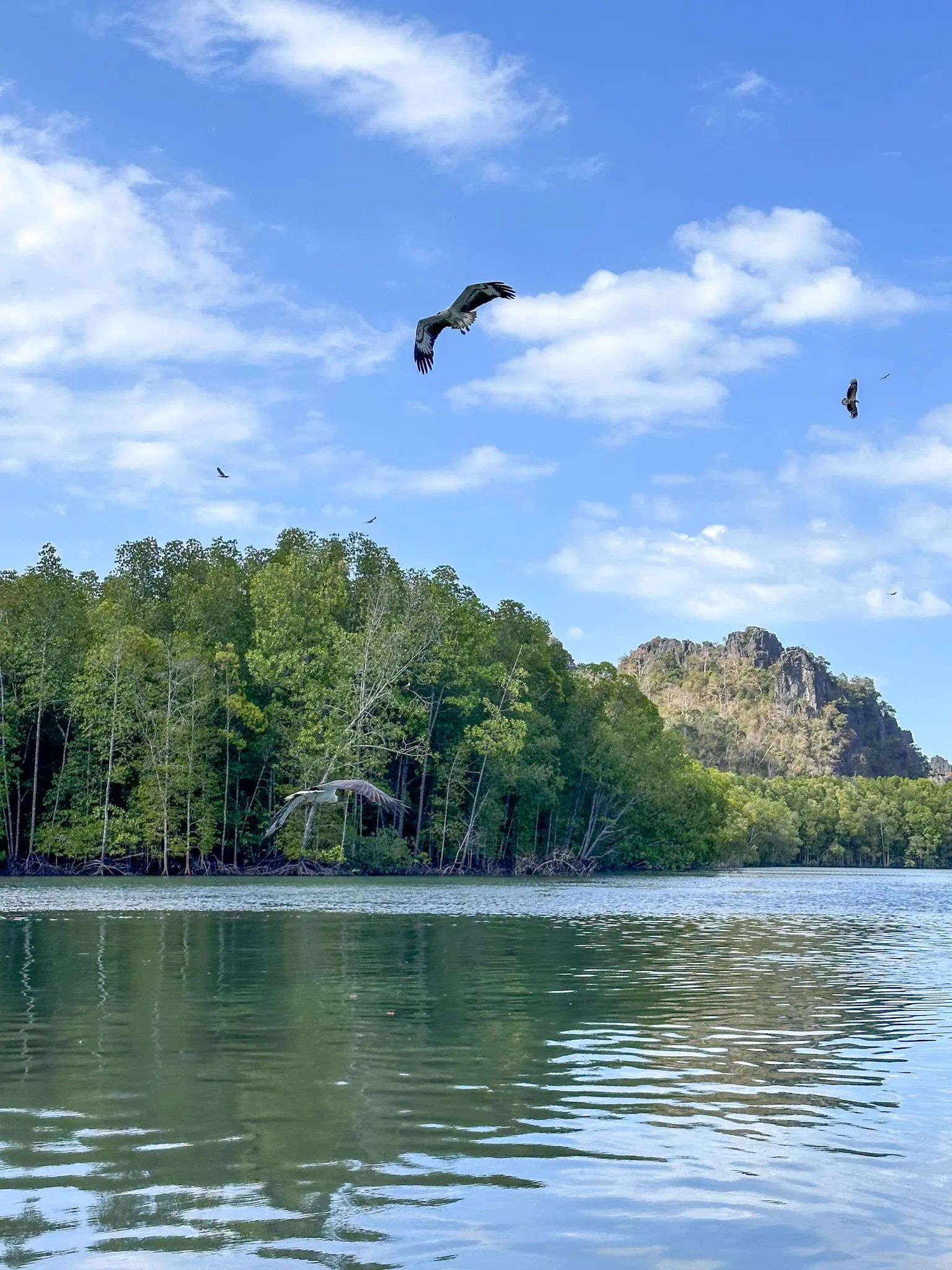Eagle Watching Point (Kubang Badak) - Wildlife Sanctuary in Langkawi 