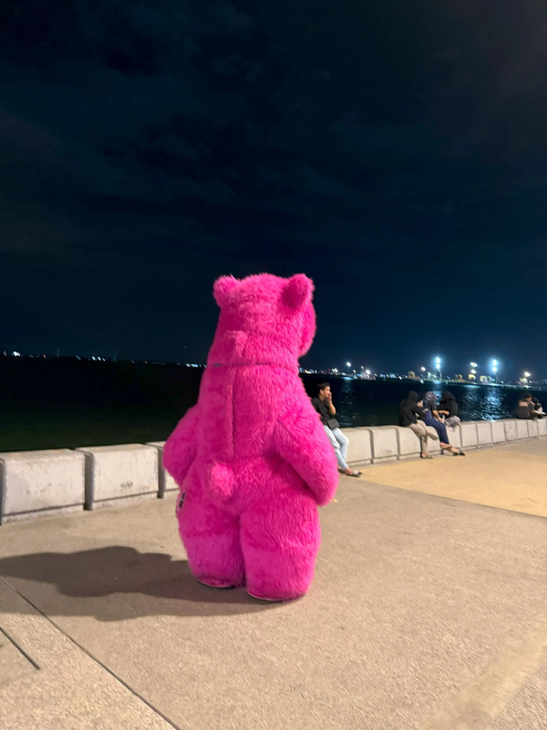 Esplanade Walkway - Observation Deck & Tower in George Town