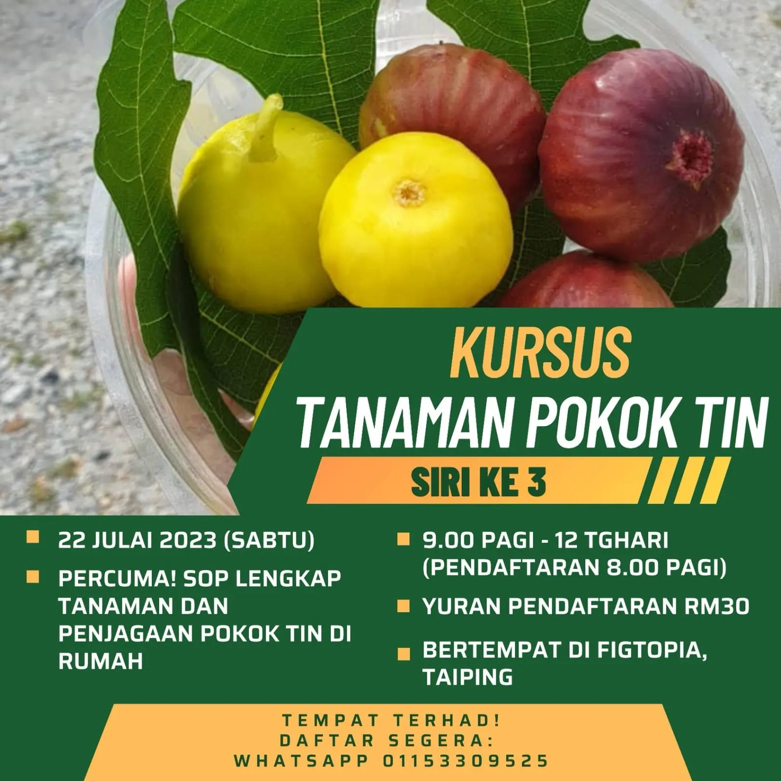 Figtopia - Farm in Changkat Jering