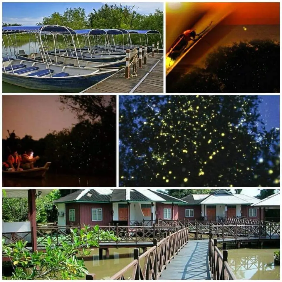 Firefly Park Resort, Bukit Belimbing - Wildlife Sanctuary in Kuala Selangor