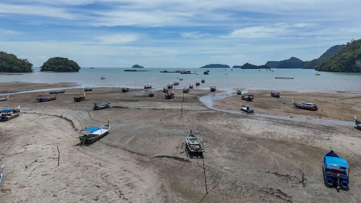 Fish Landing Jetty Penarak photo 14