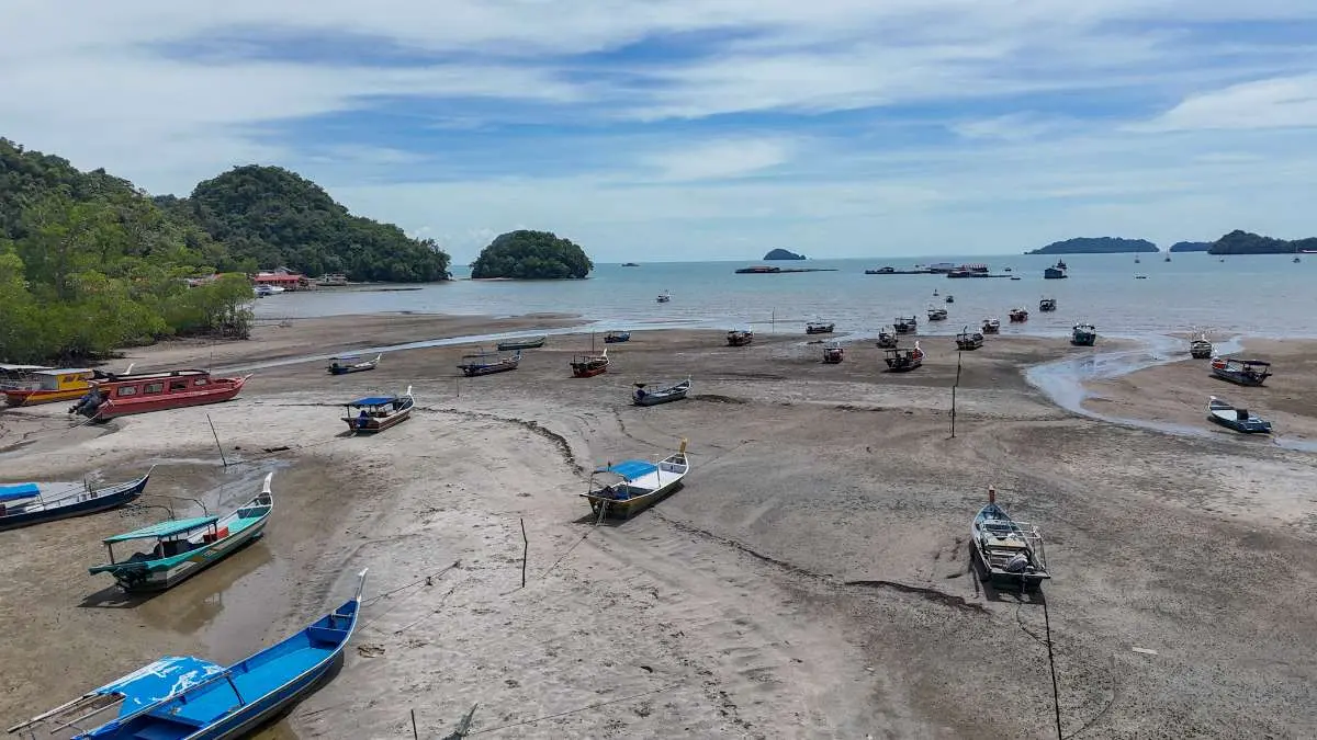 Fish Landing Jetty Penarak photo 15