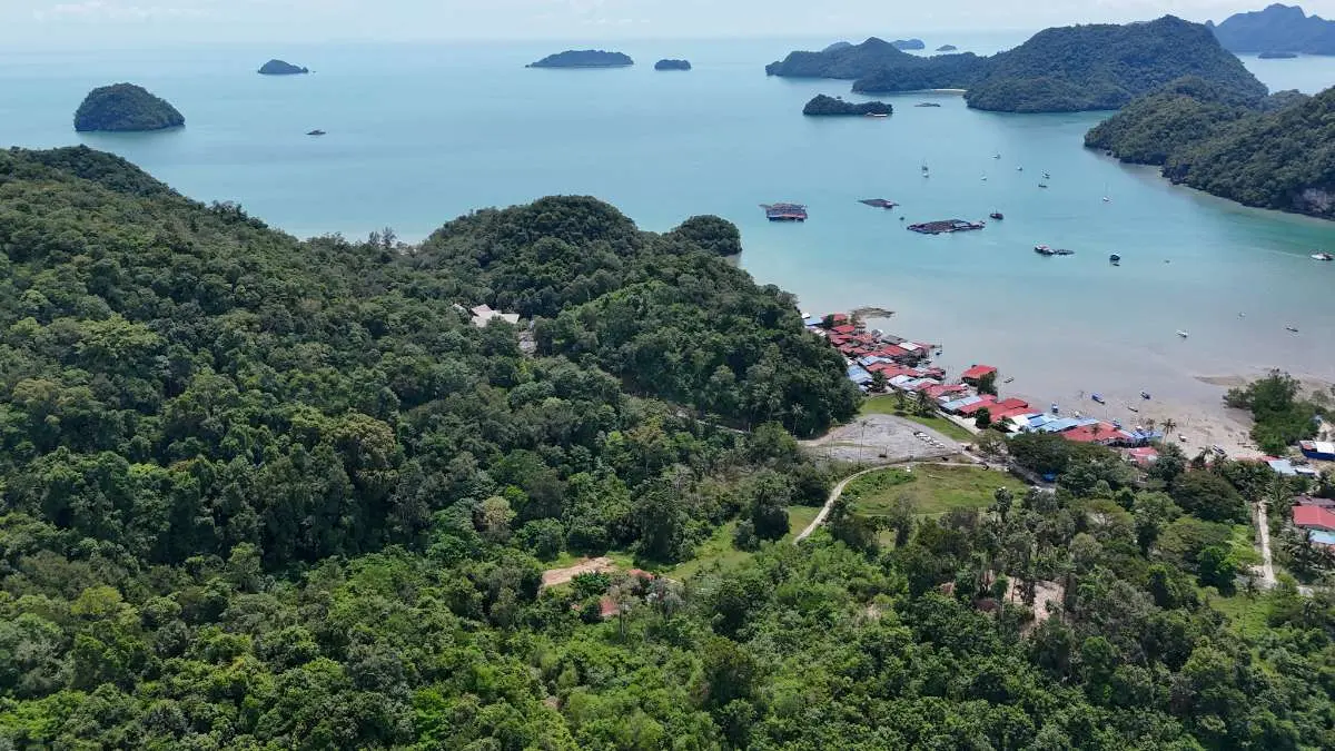 Fish Landing Jetty Penarak photo 12