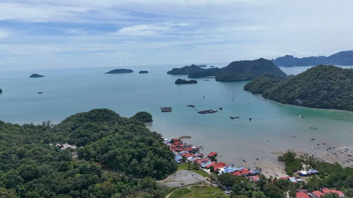 Fish Landing Jetty Penarak photo 13