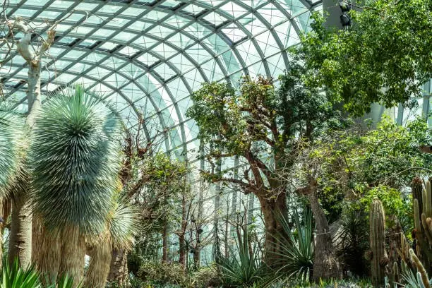 Flower Dome - Garden & Park in Singapore
