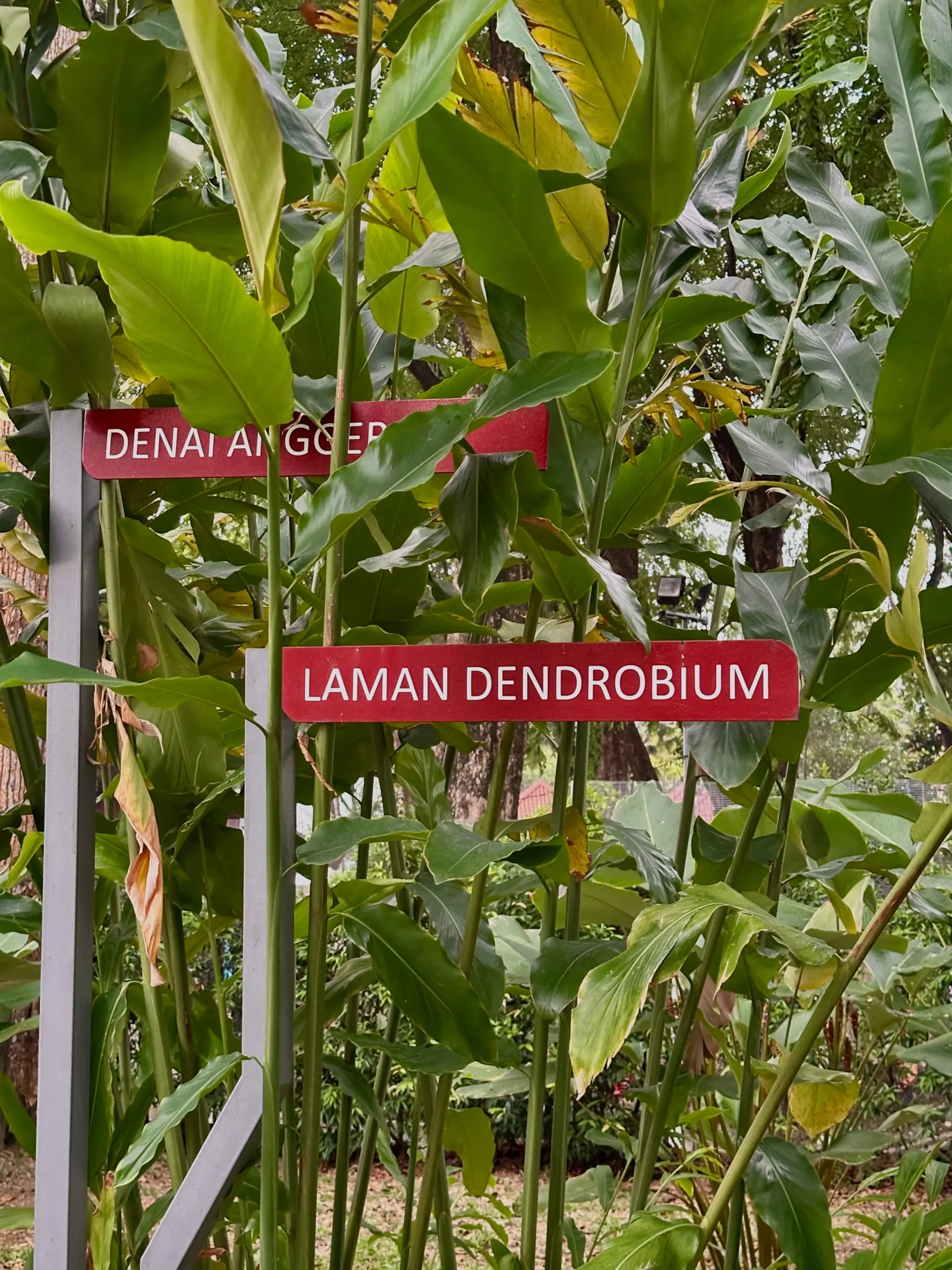 Taman Anggerik Shah Alam - Garden & Park in Shah Alam