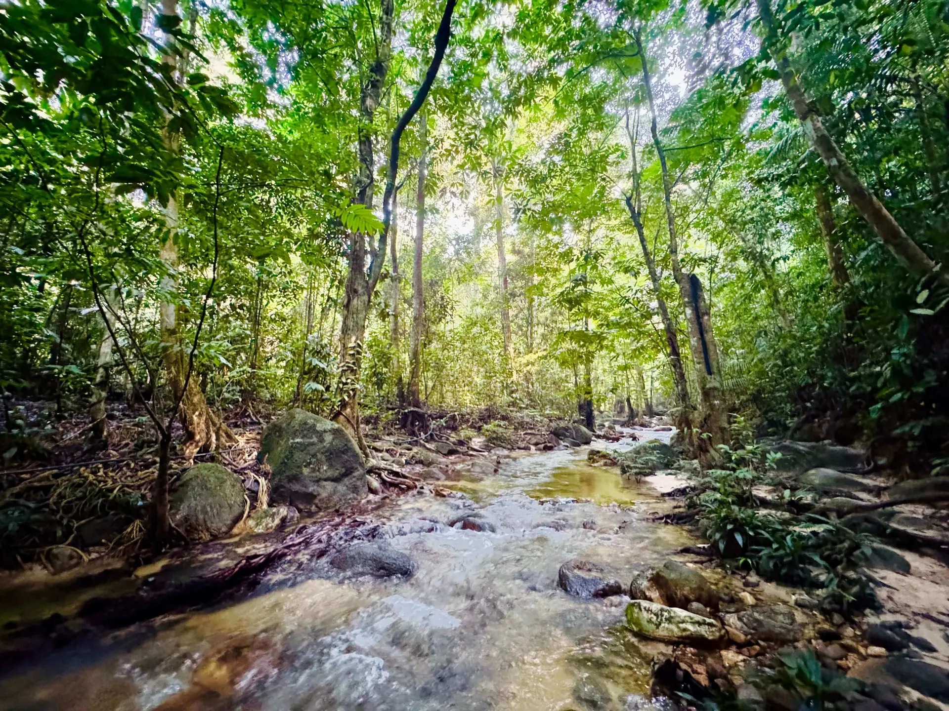 Sungai Pisang Waterfall - Waterfall in Gombak