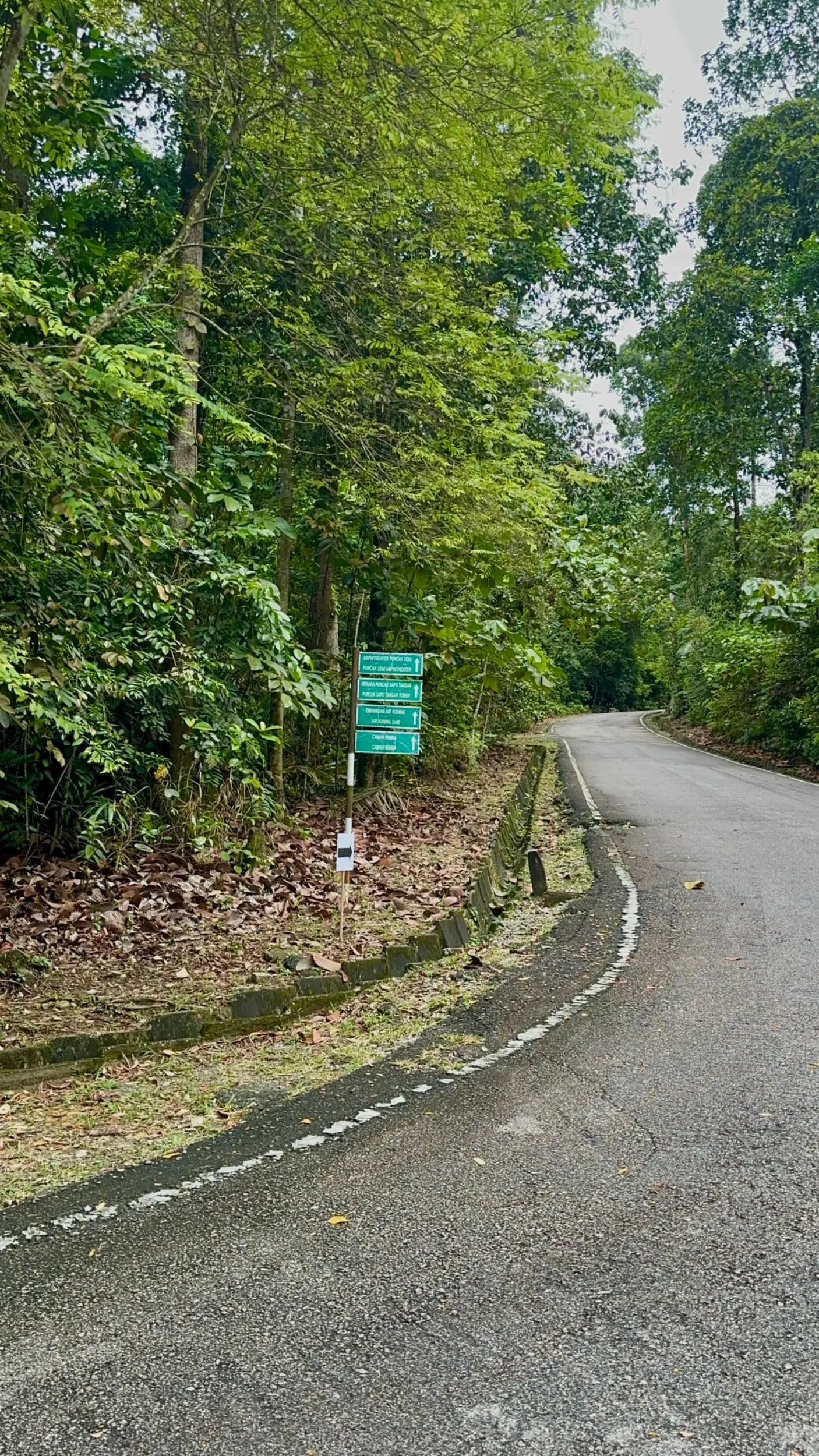 Taman Botani Negara Shah Alam photo 24