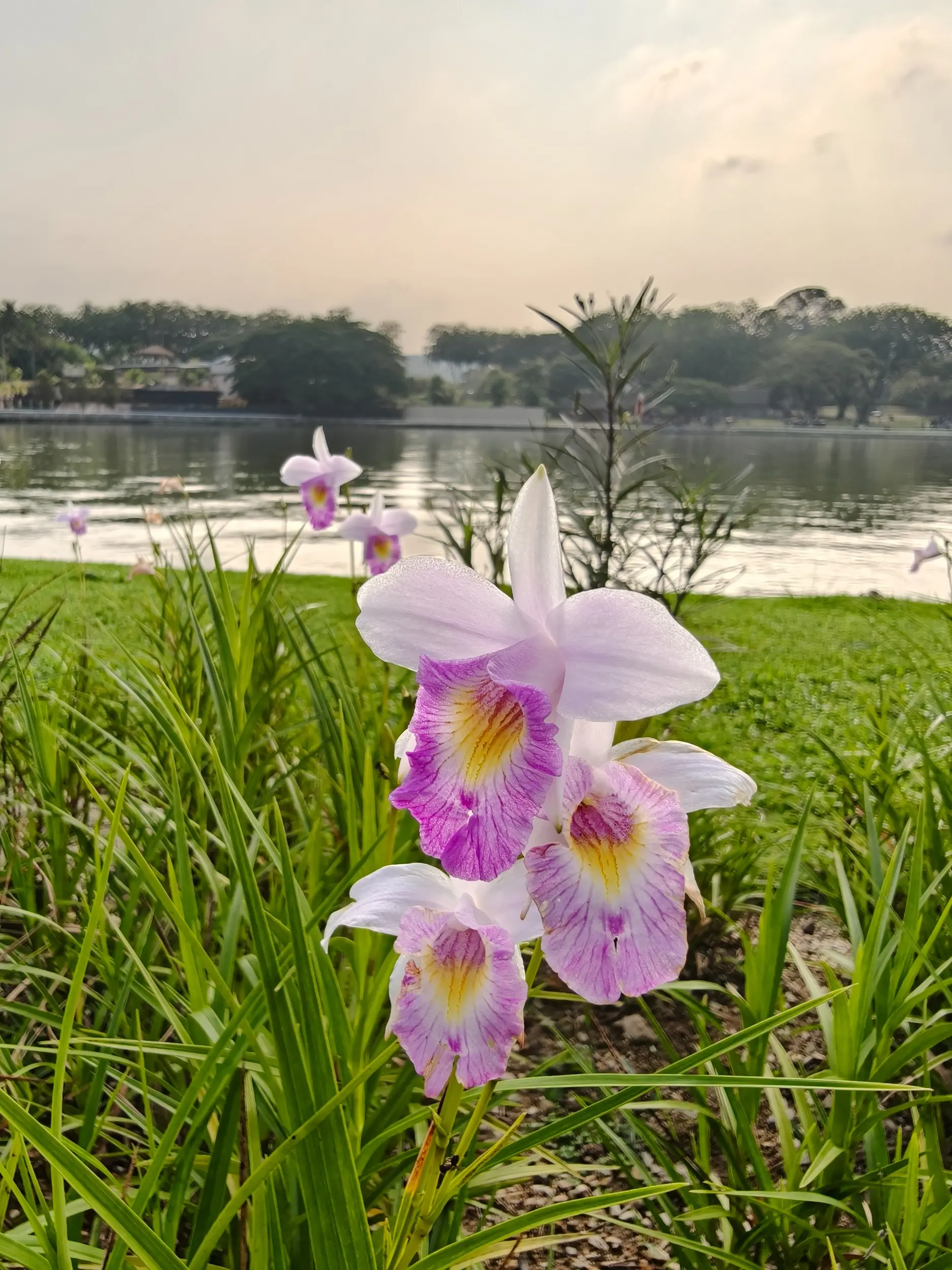 Taman Tasik Shah Alam - Garden & Park in Shah Alam