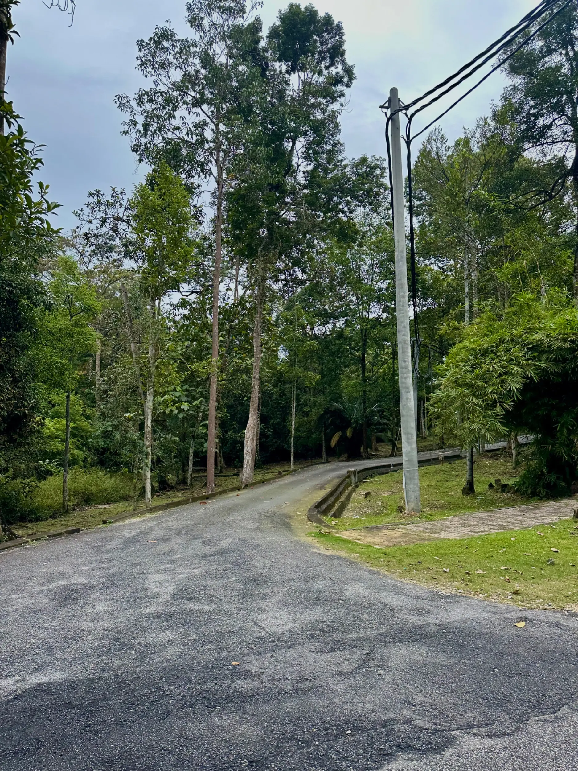 Taman Botani Negara Shah Alam photo 17