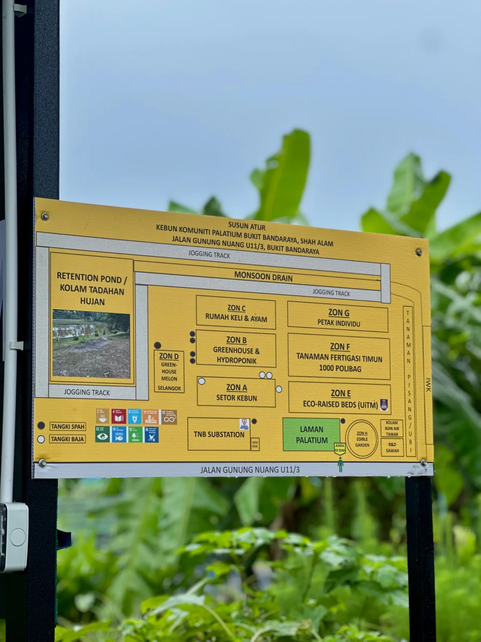 Kebun Komuniti (Palatium Bukit Bandaraya Shah Alam) photo 6