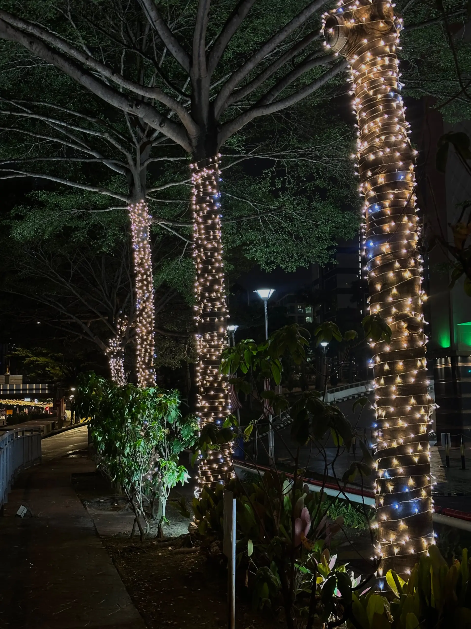 Aneka Walk