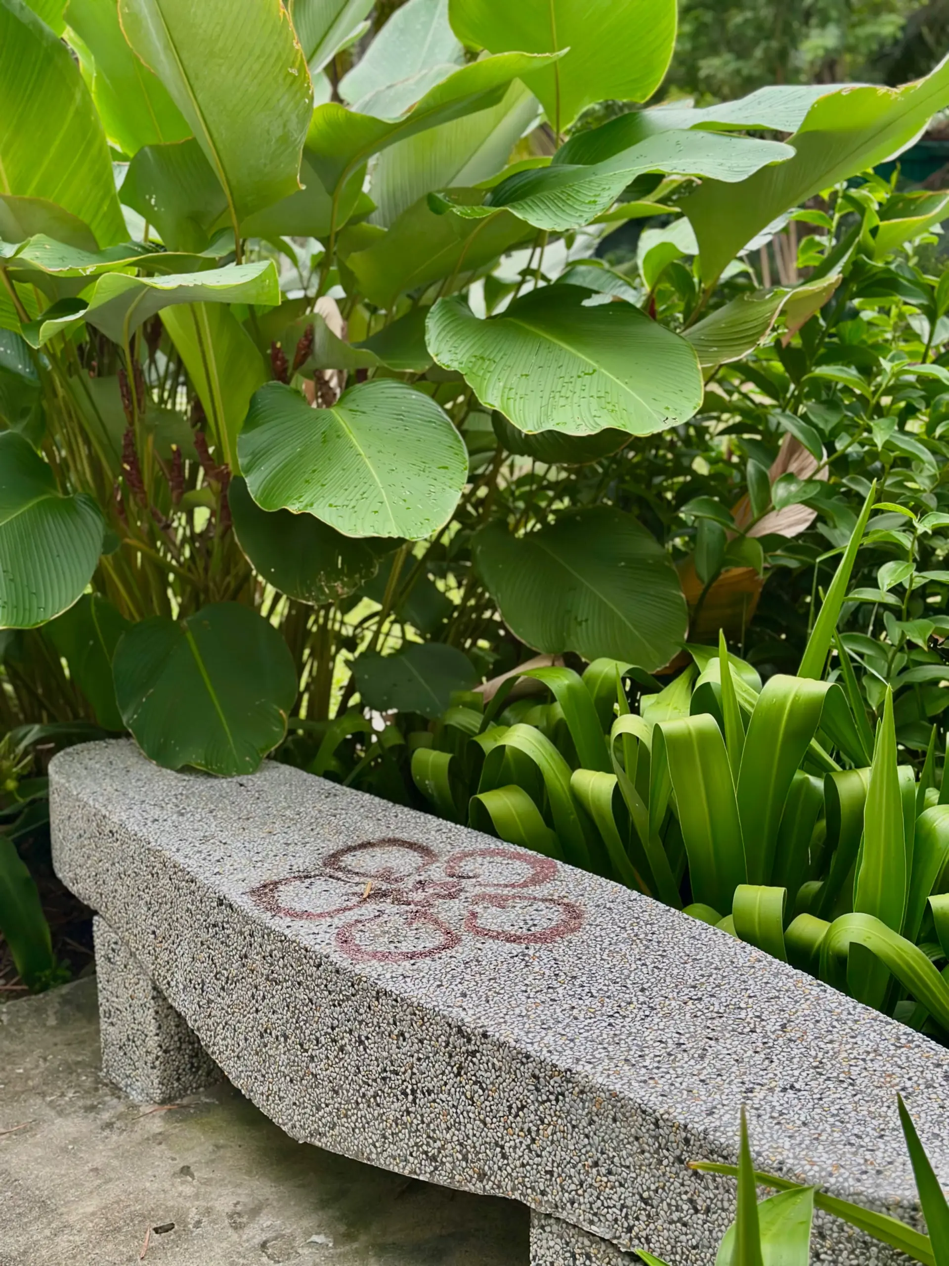 Taman Anggerik Shah Alam - Garden & Park in Shah Alam